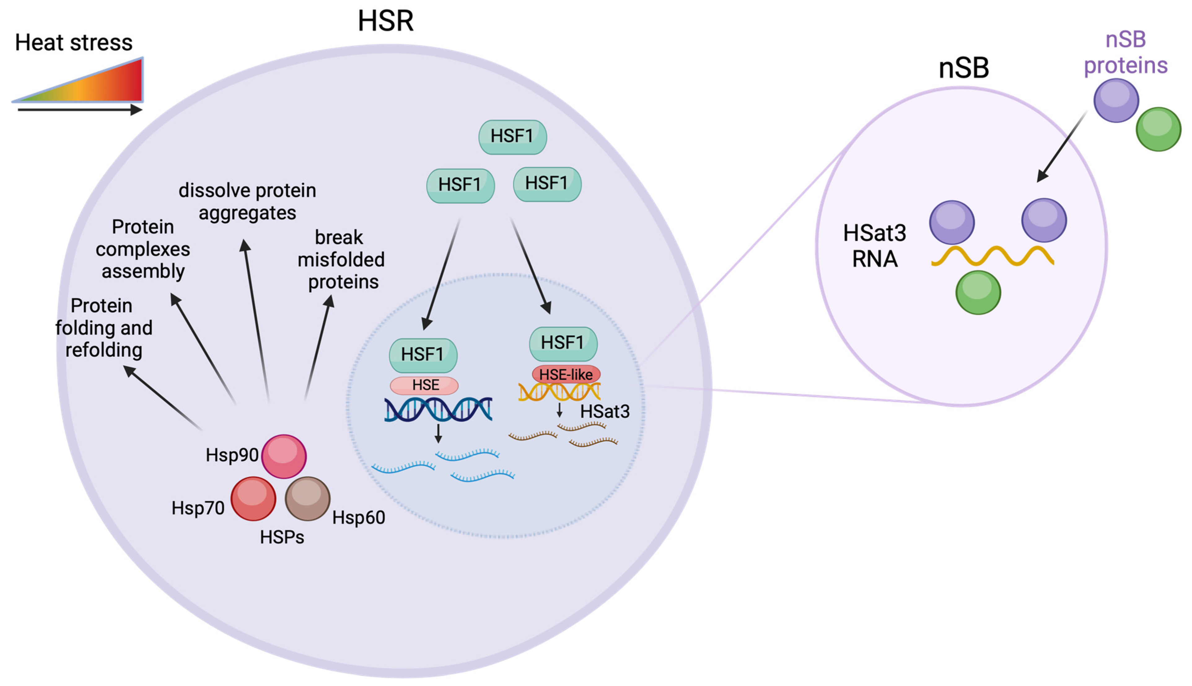 Biomolecules 14 00124 g002