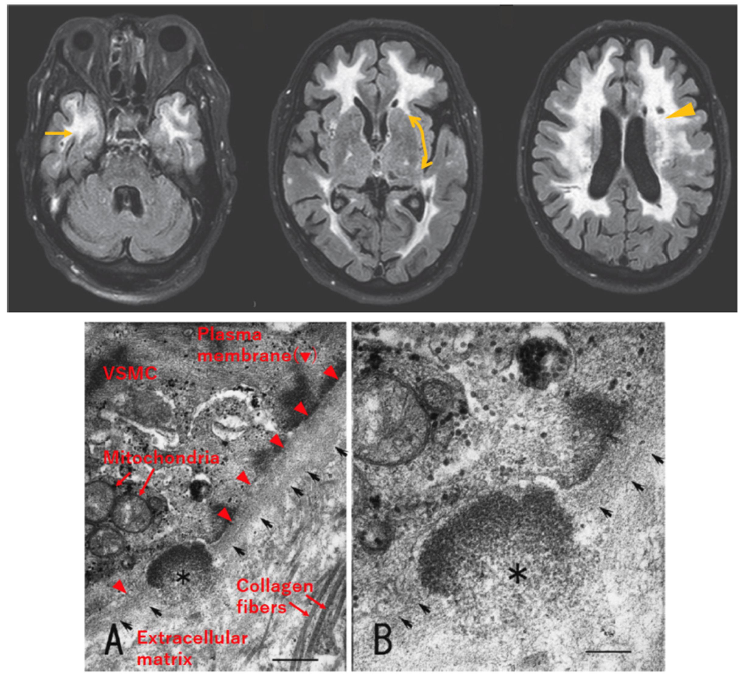 Biomolecules 14 00127 g002 Biomolecules 14 00127 g002