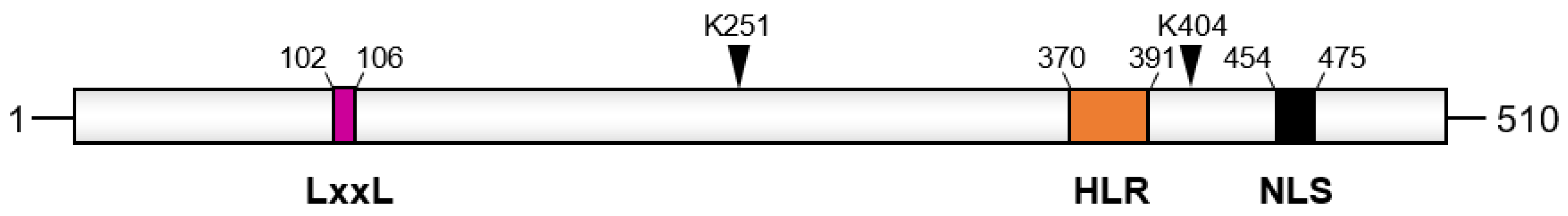 Biomolecules 14 00136 g001 Biomolecules 14 00136 g001