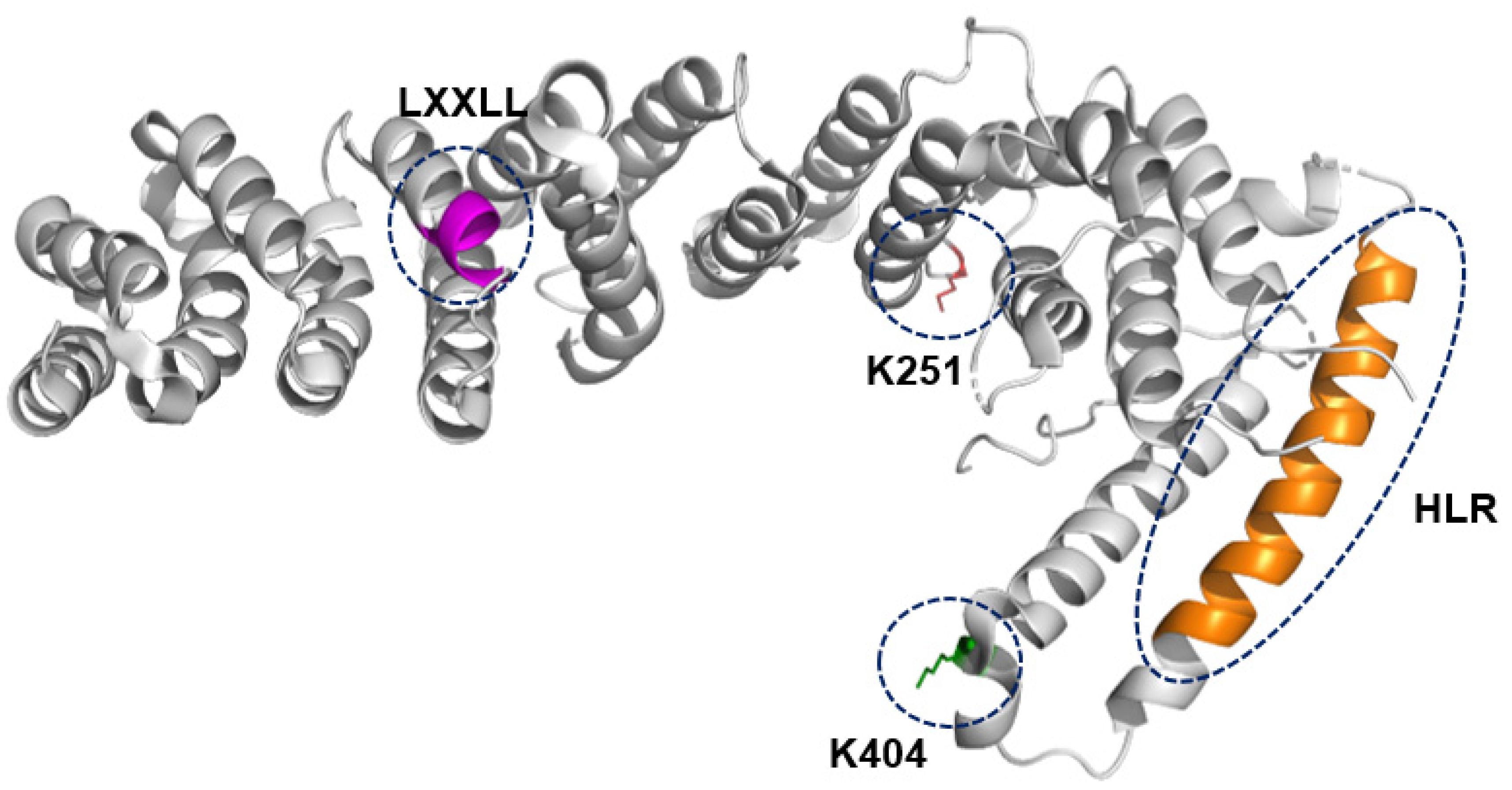 Biomolecules 14 00136 g002 Biomolecules 14 00136 g002