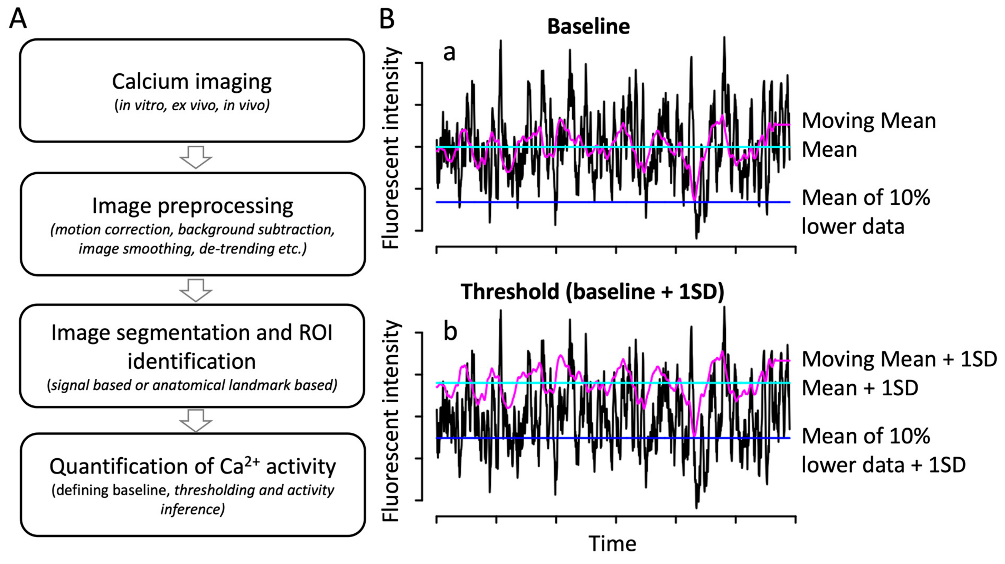 Biomolecules 14 00138 g001