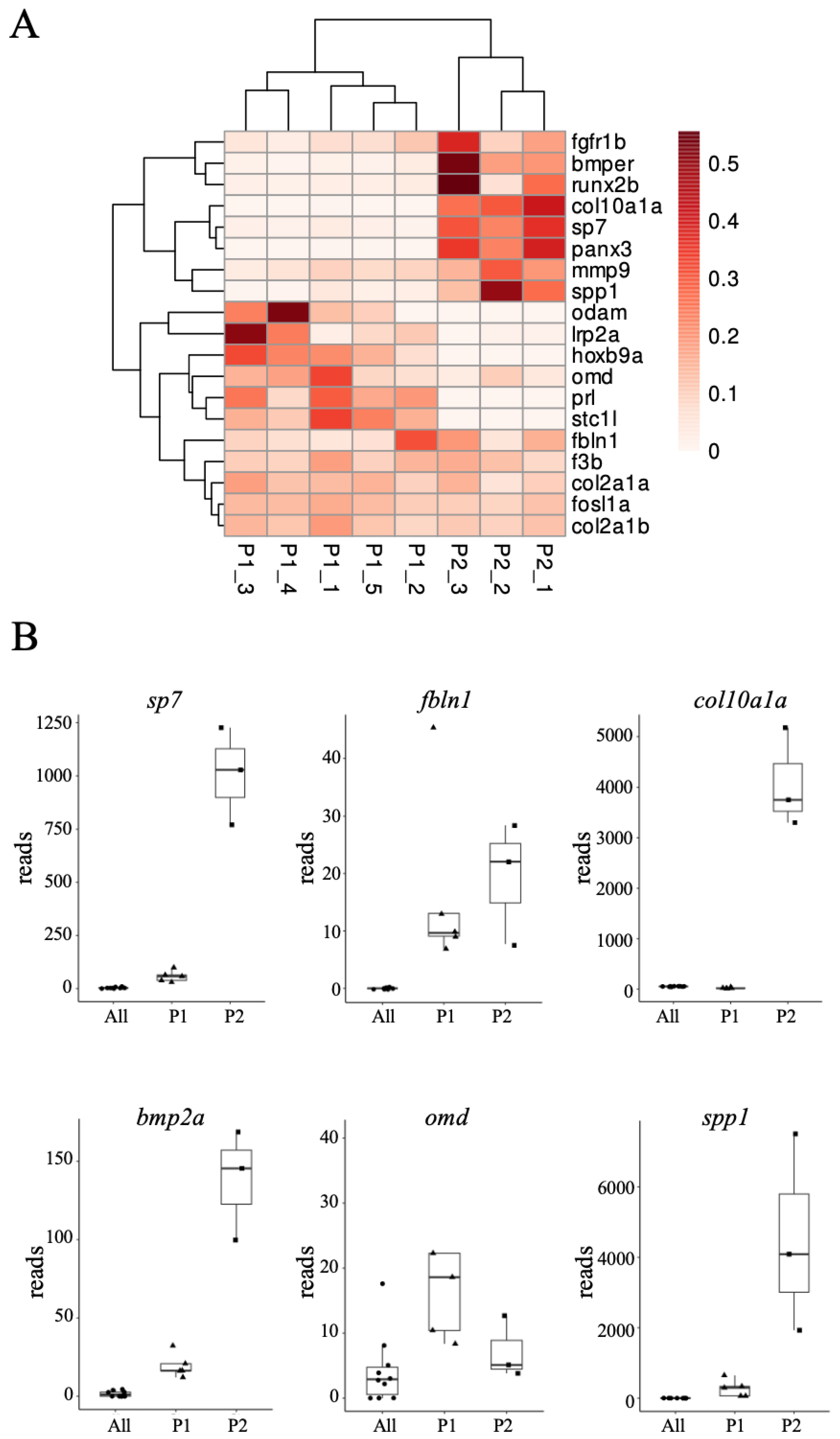 Biomolecules 14 00139 g002 Biomolecules 14 00139 g002