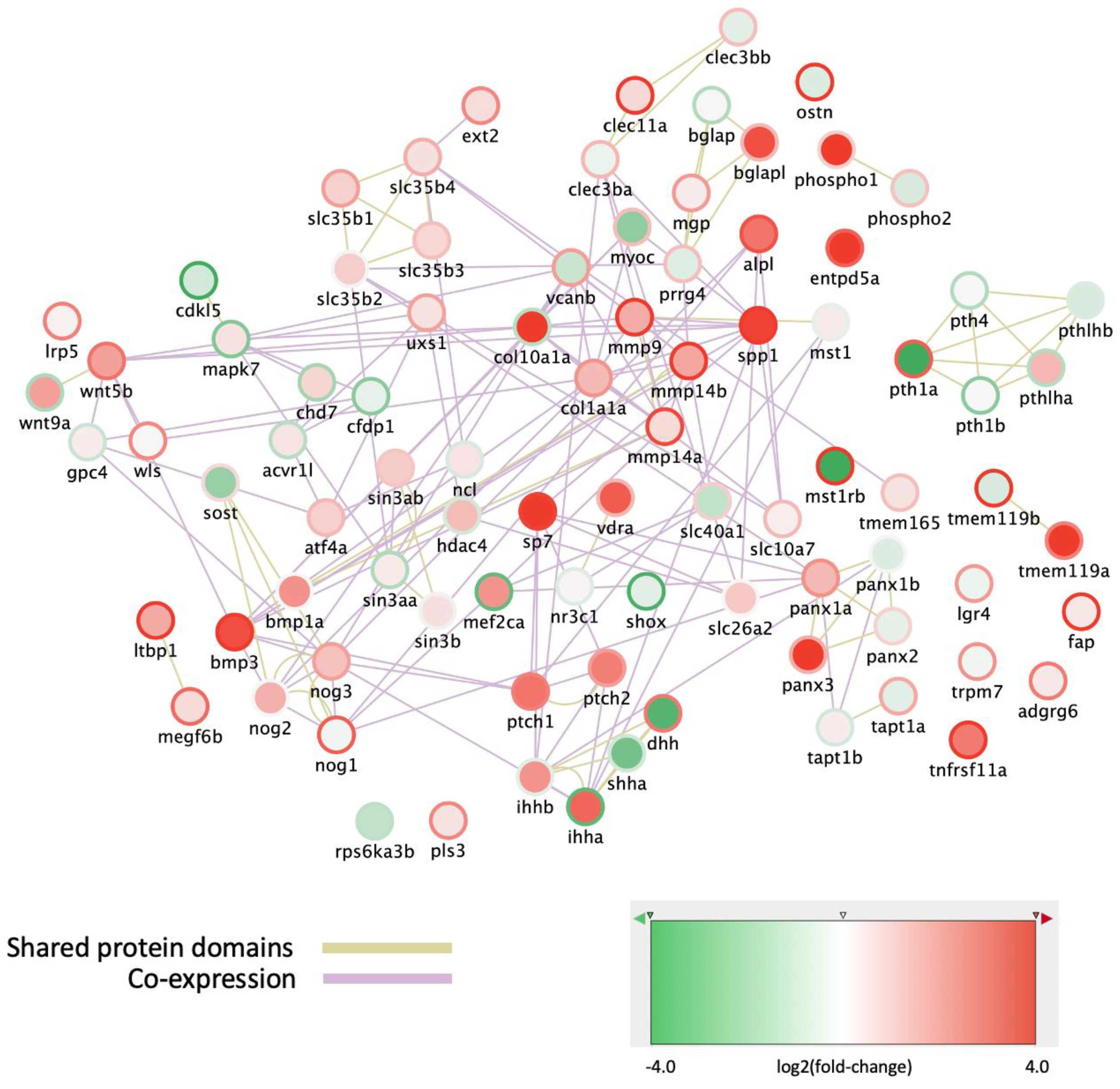 Biomolecules 14 00139 g003 Biomolecules 14 00139 g003