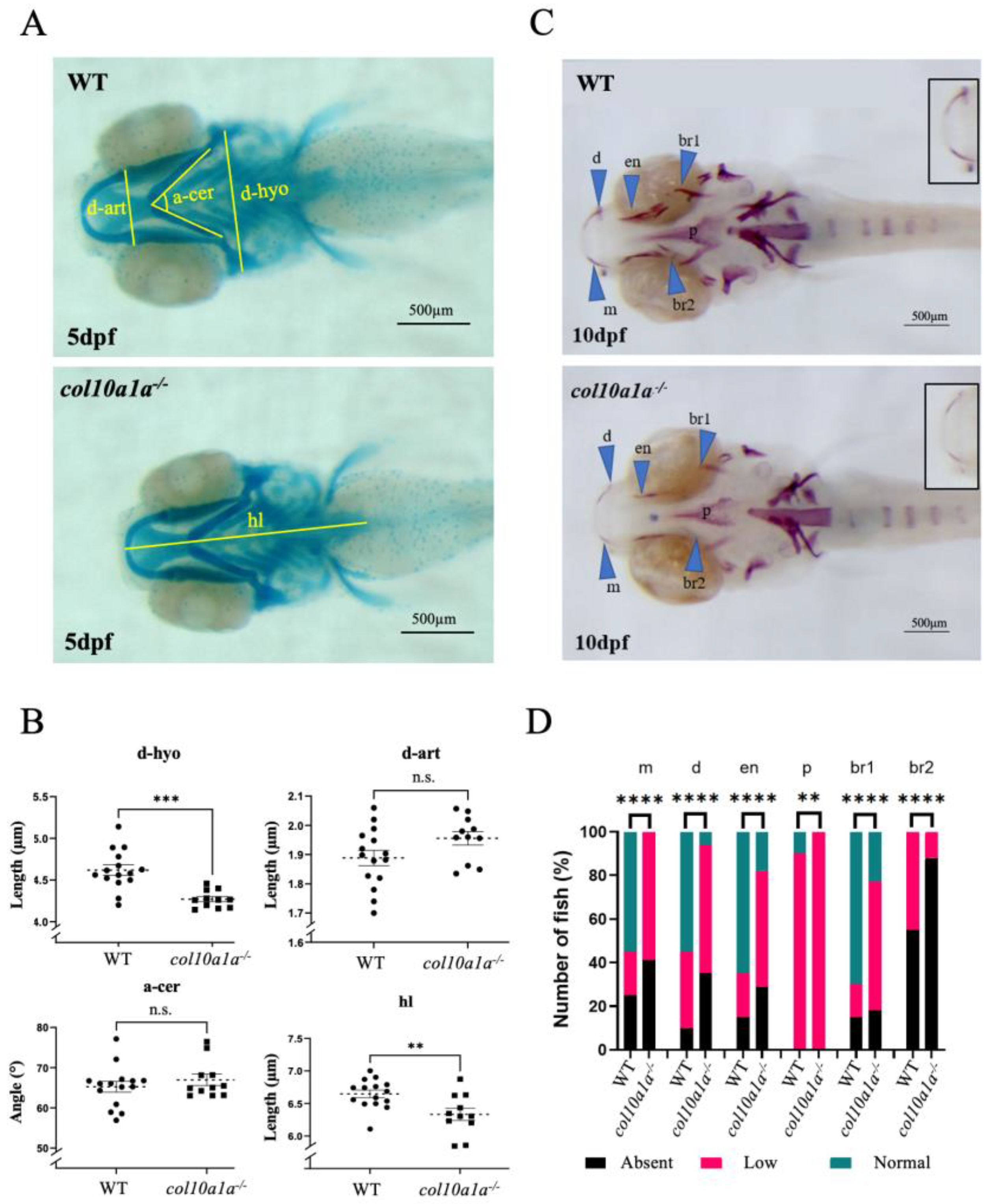 Biomolecules 14 00139 g004 Biomolecules 14 00139 g004