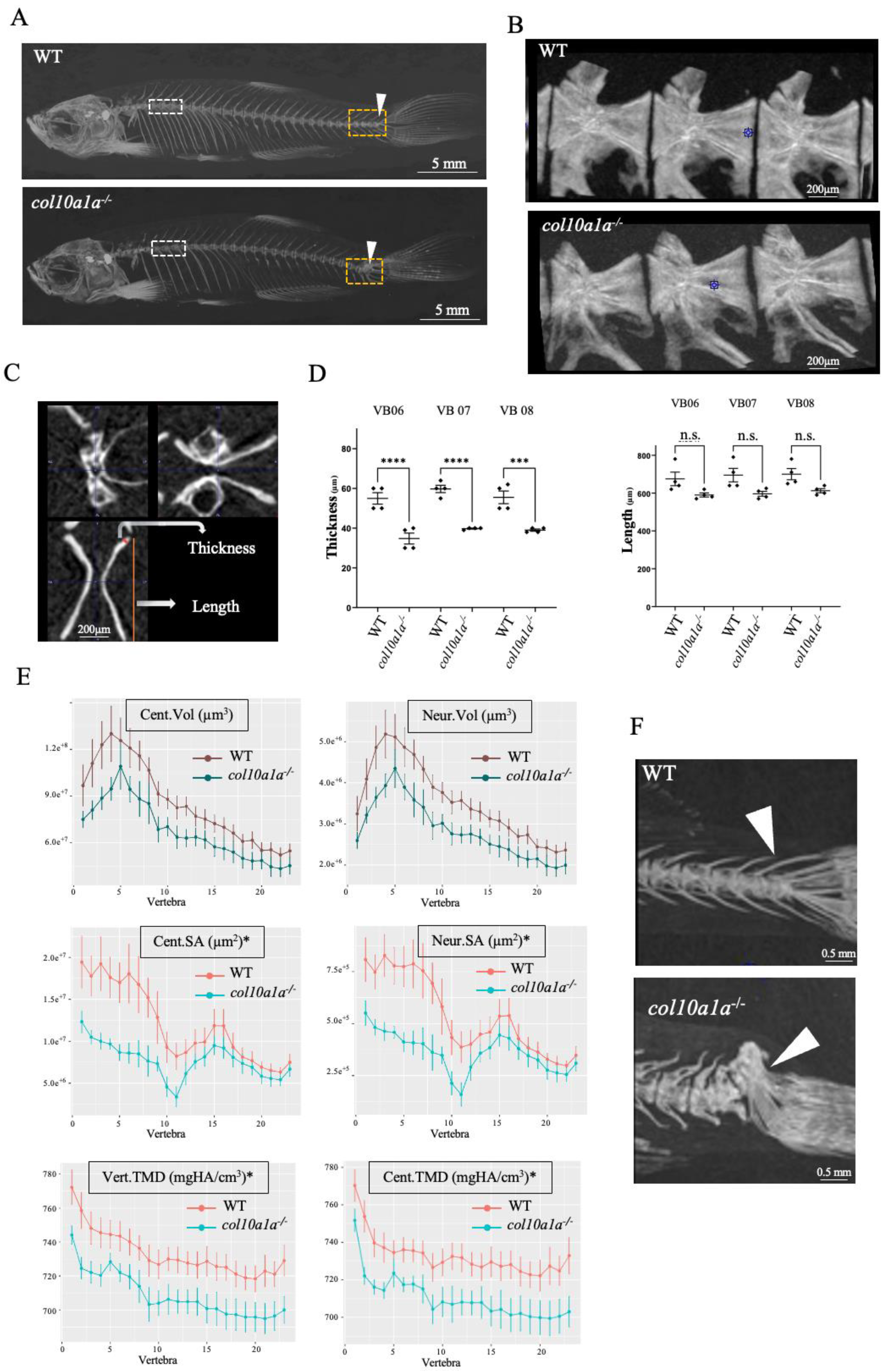 Biomolecules 14 00139 g005 Biomolecules 14 00139 g005