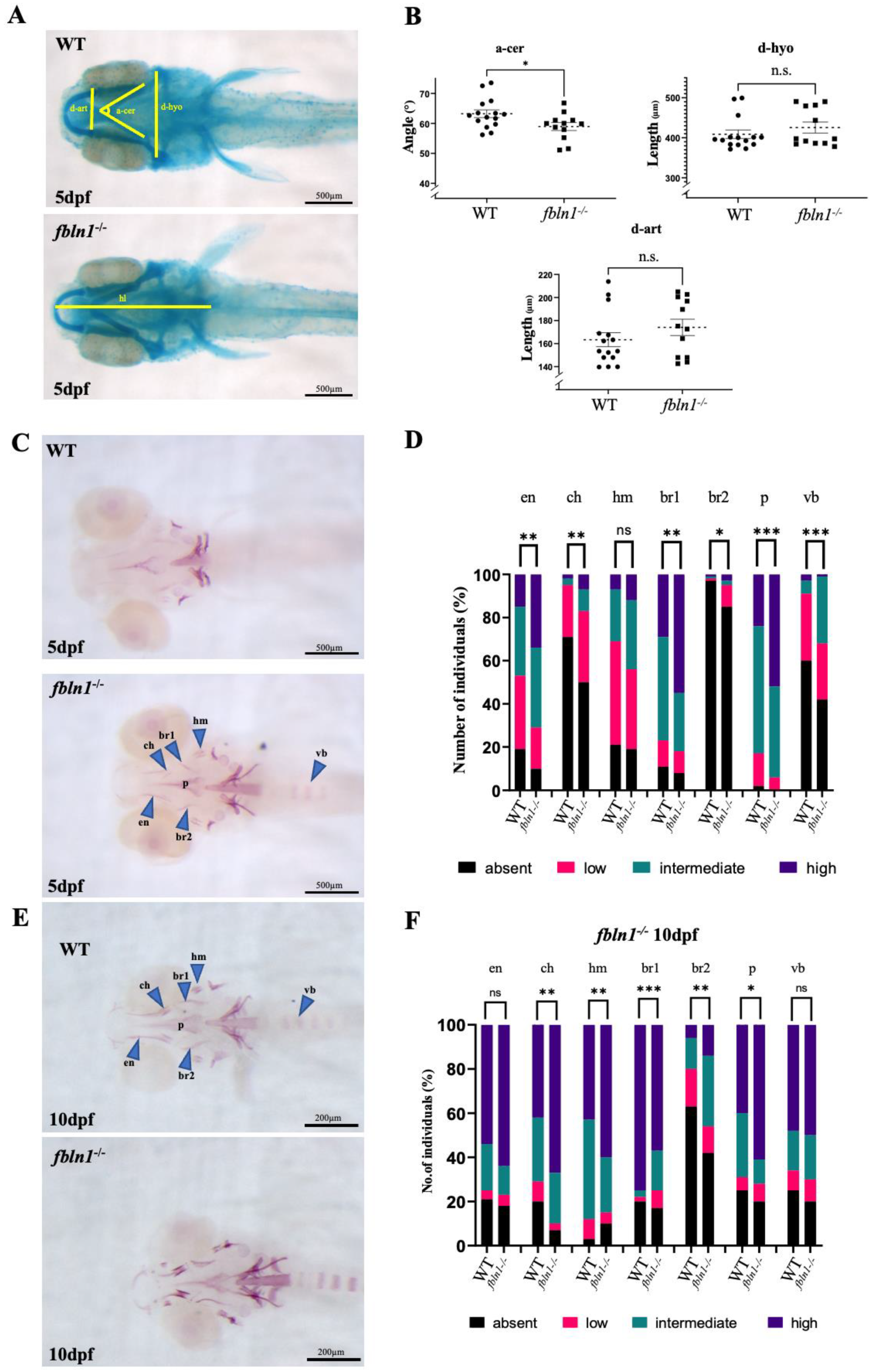 Biomolecules 14 00139 g006 Biomolecules 14 00139 g006