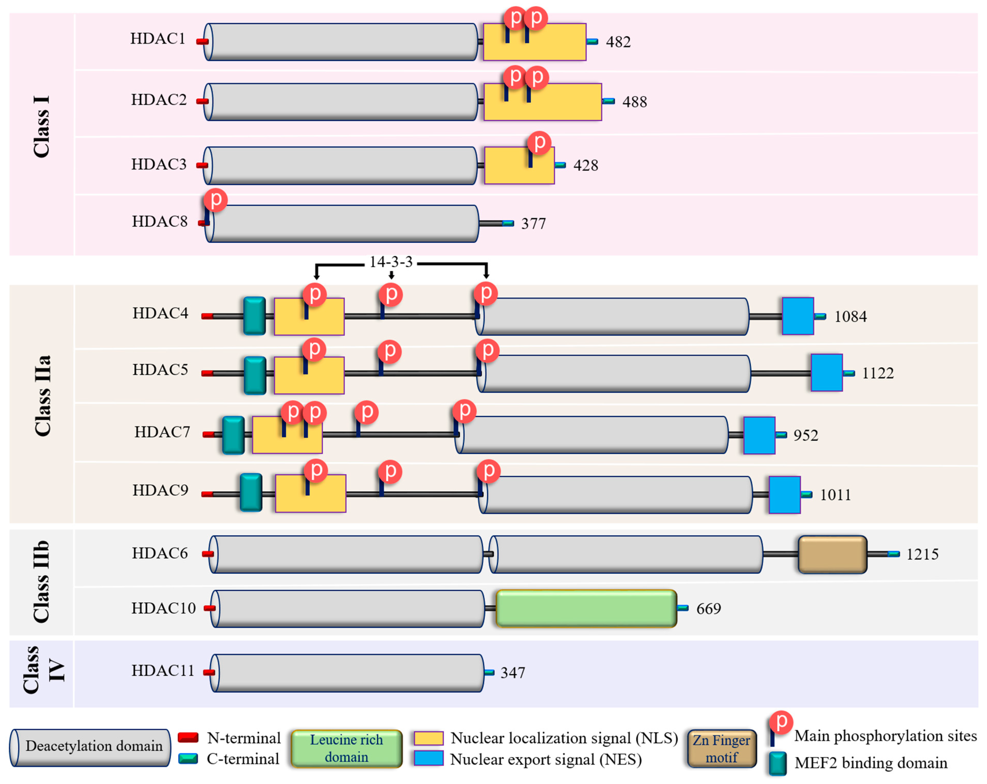 Biomolecules 14 00140 g002