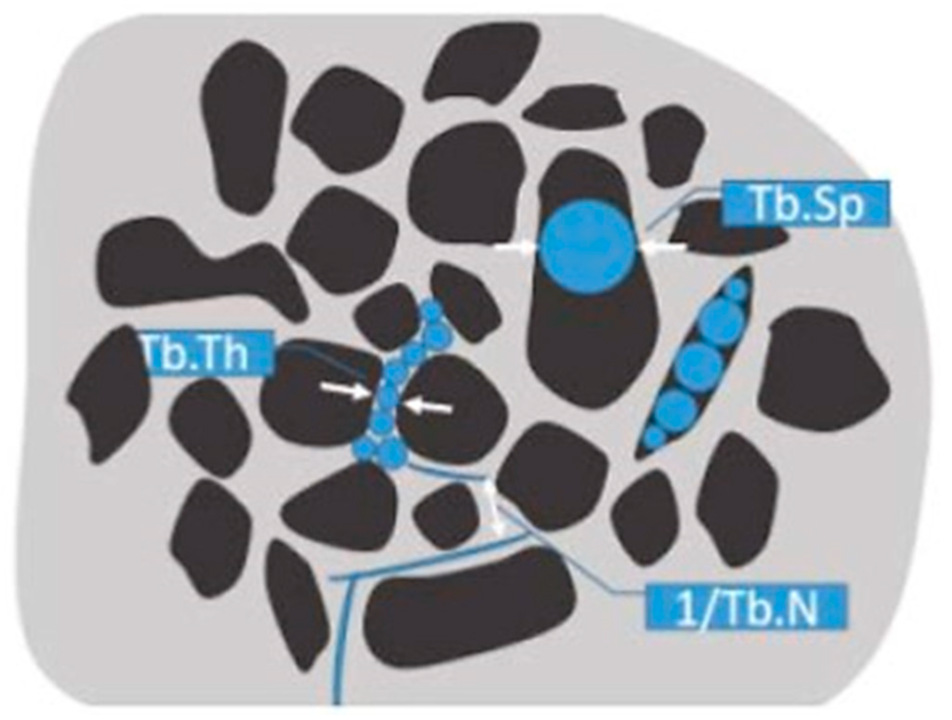 Biomolecules 14 00143 g003