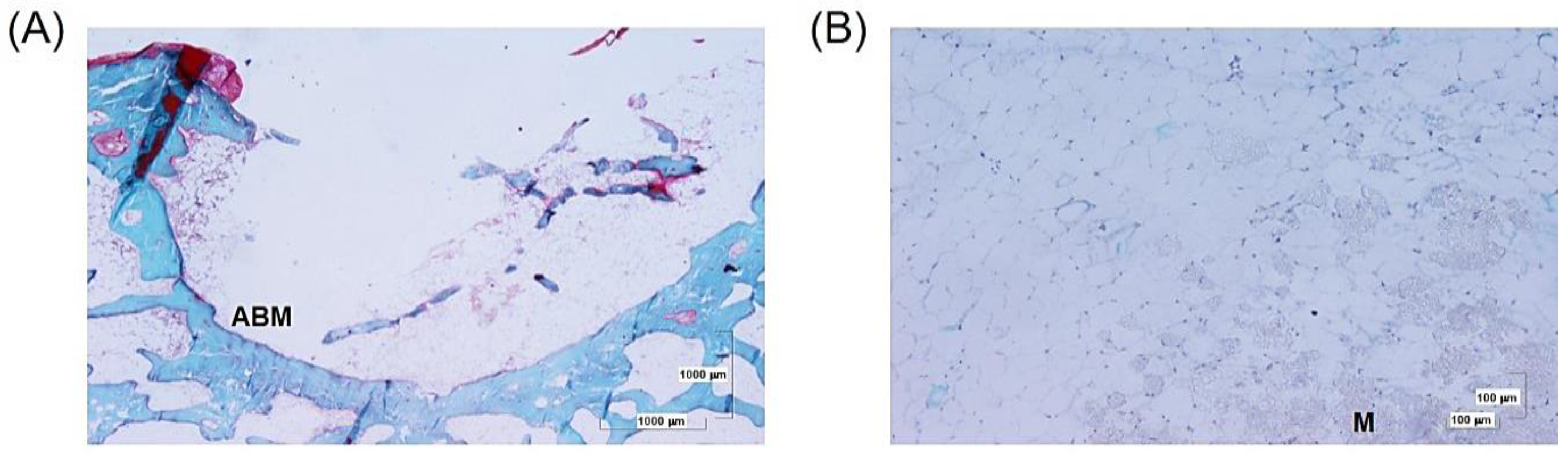 Biomolecules 14 00143 g008