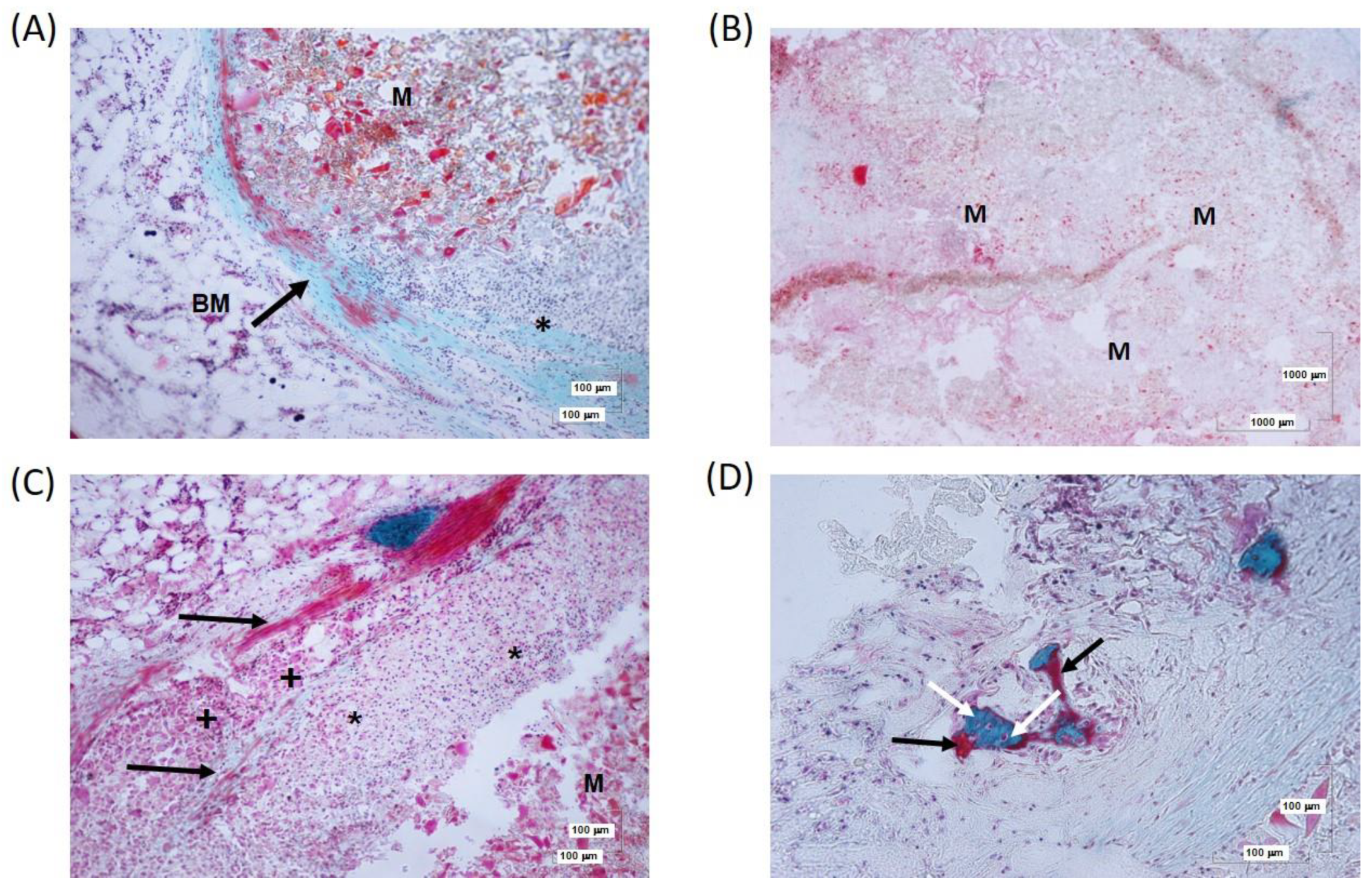 Biomolecules 14 00143 g009