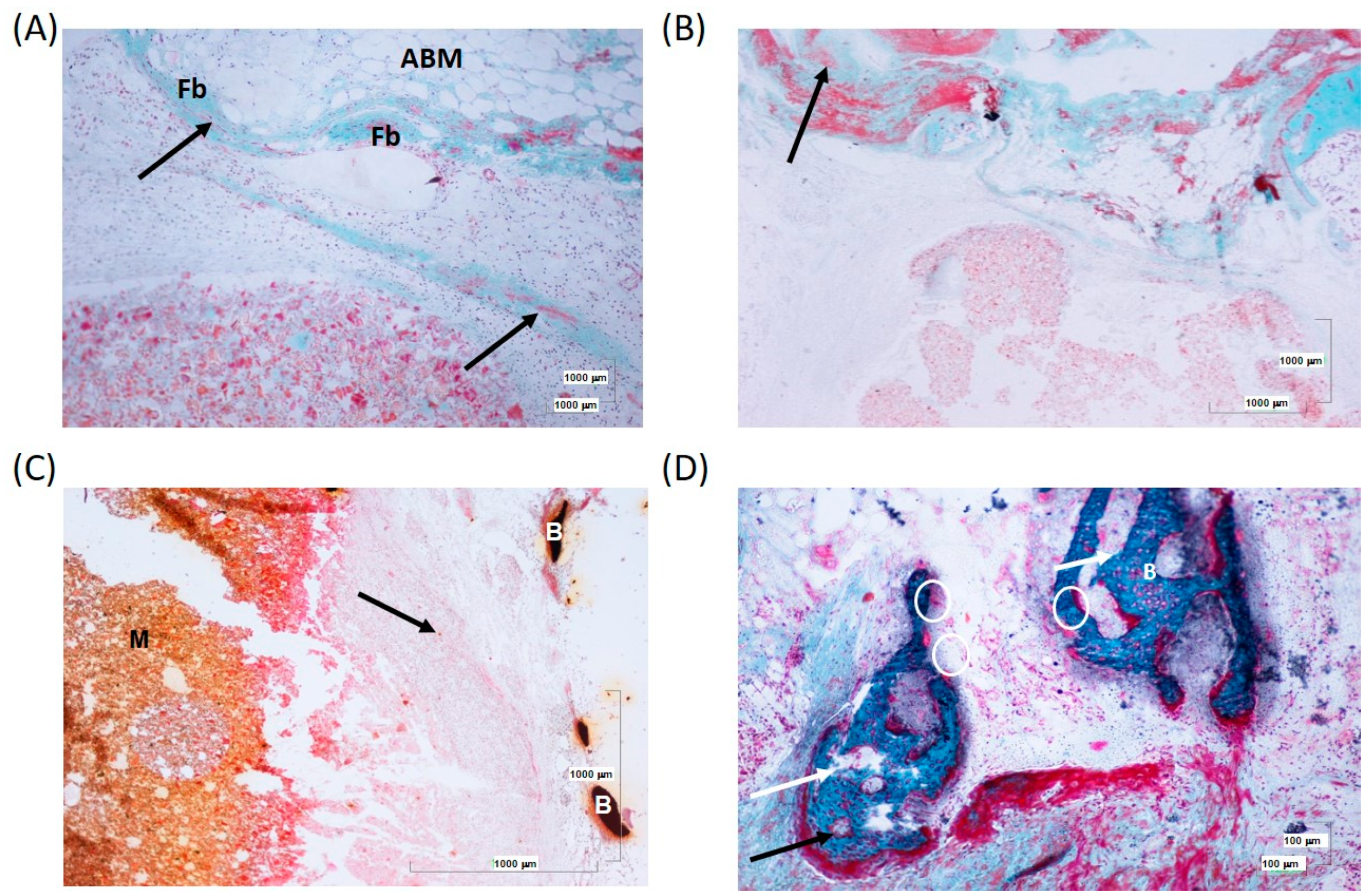 Biomolecules 14 00143 g010