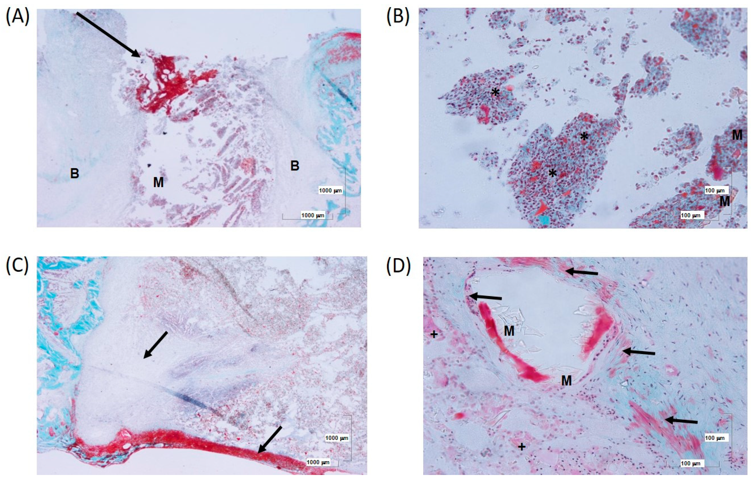Biomolecules 14 00143 g011