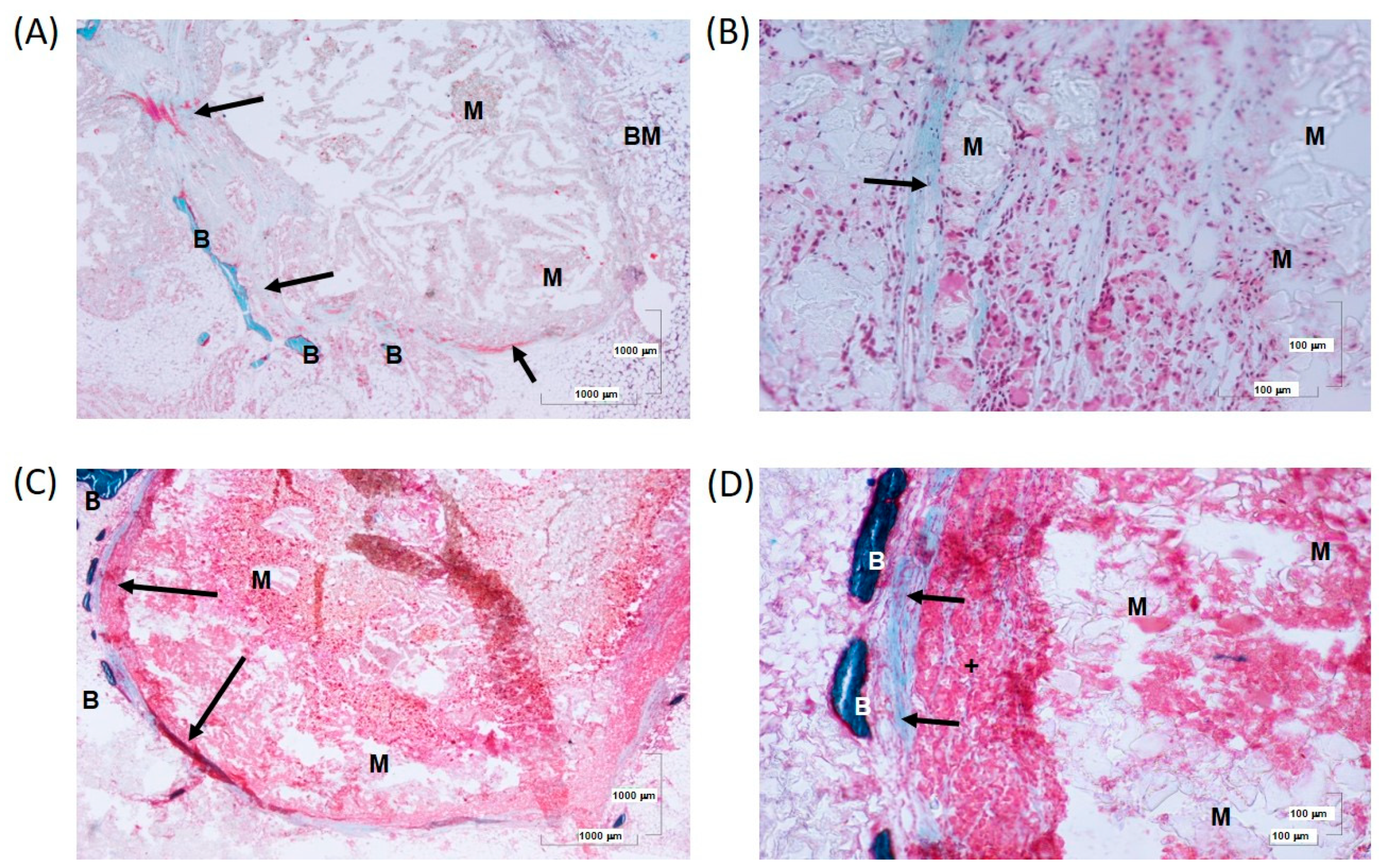 Biomolecules 14 00143 g012