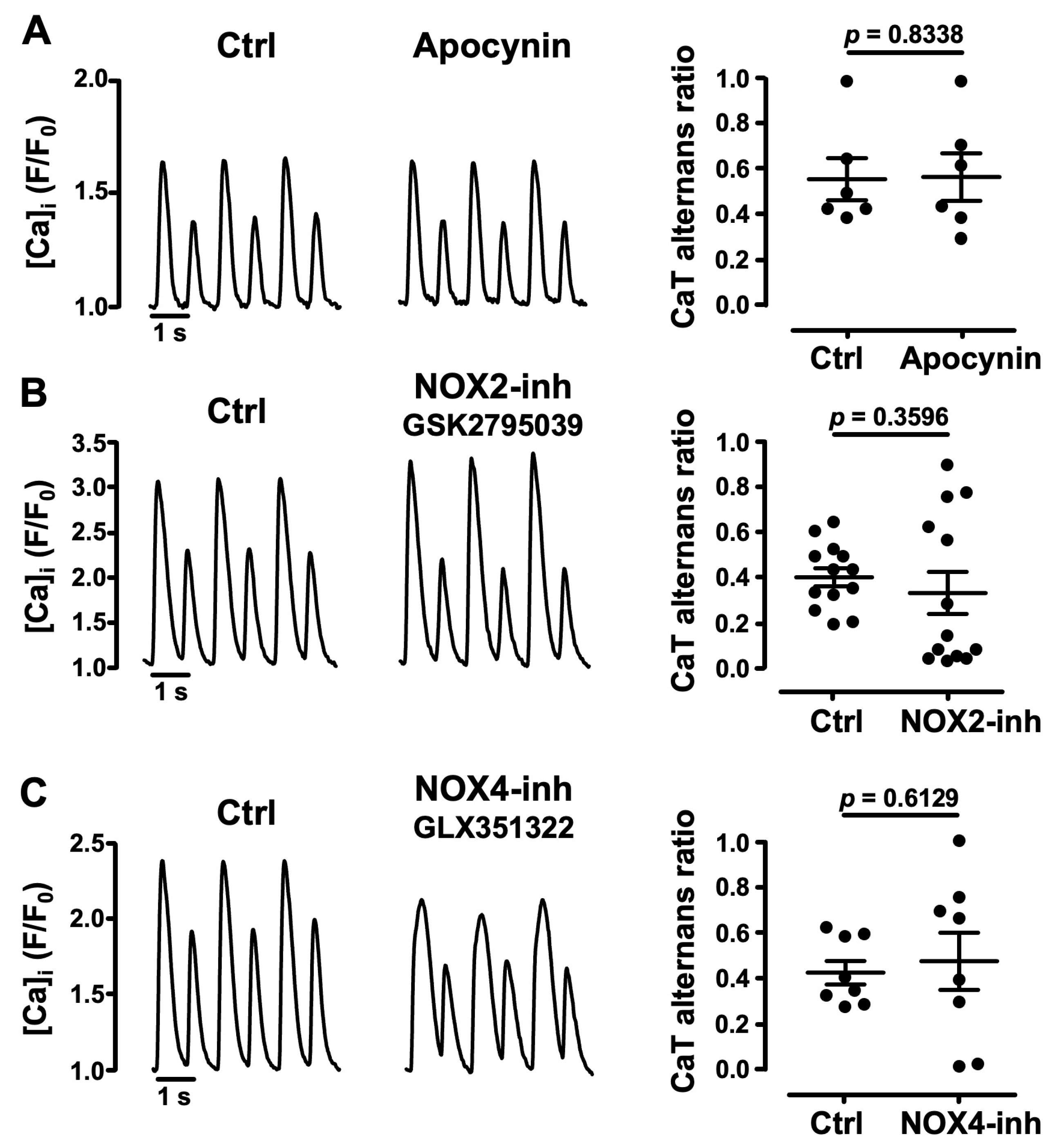 Biomolecules 14 00144 g004