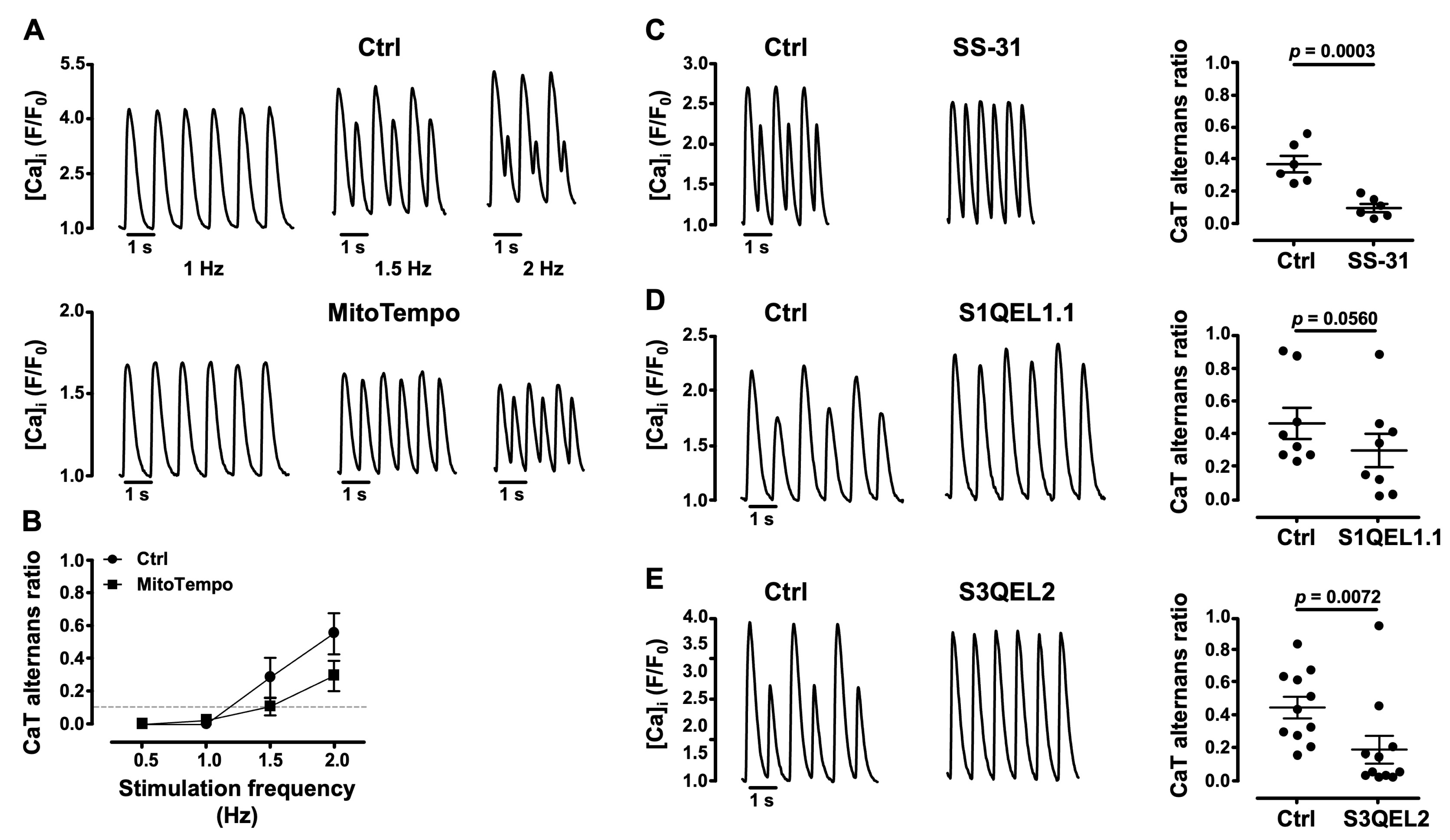 Biomolecules 14 00144 g005