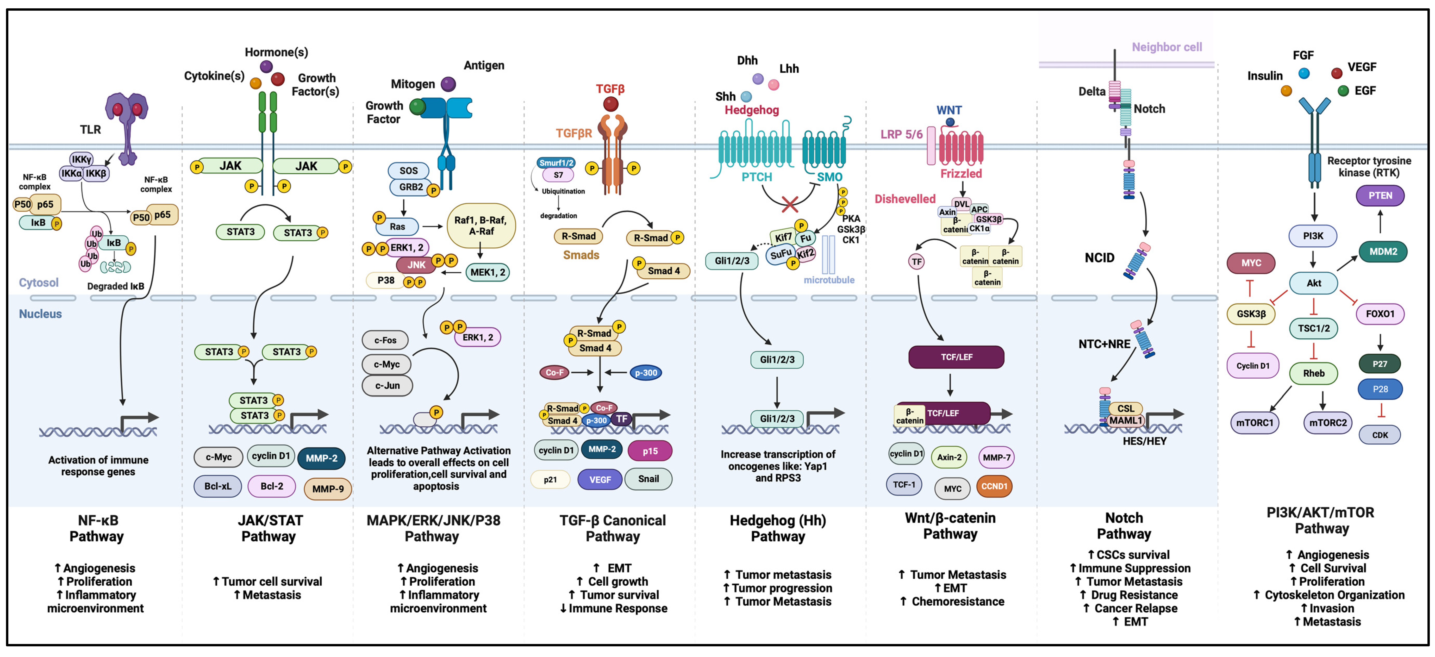 Biomolecules 14 00145 g003