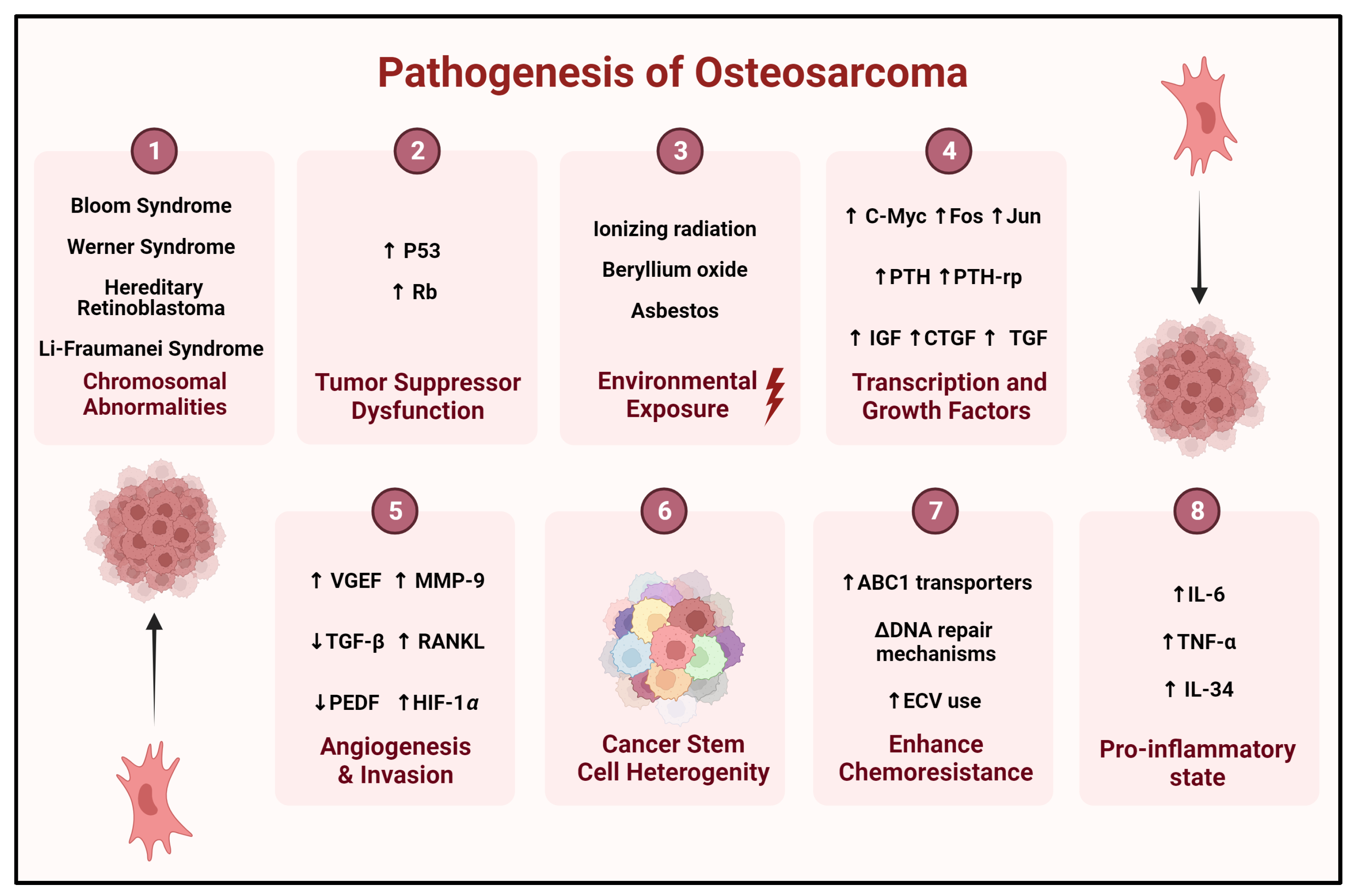 Biomolecules 14 00145 g004