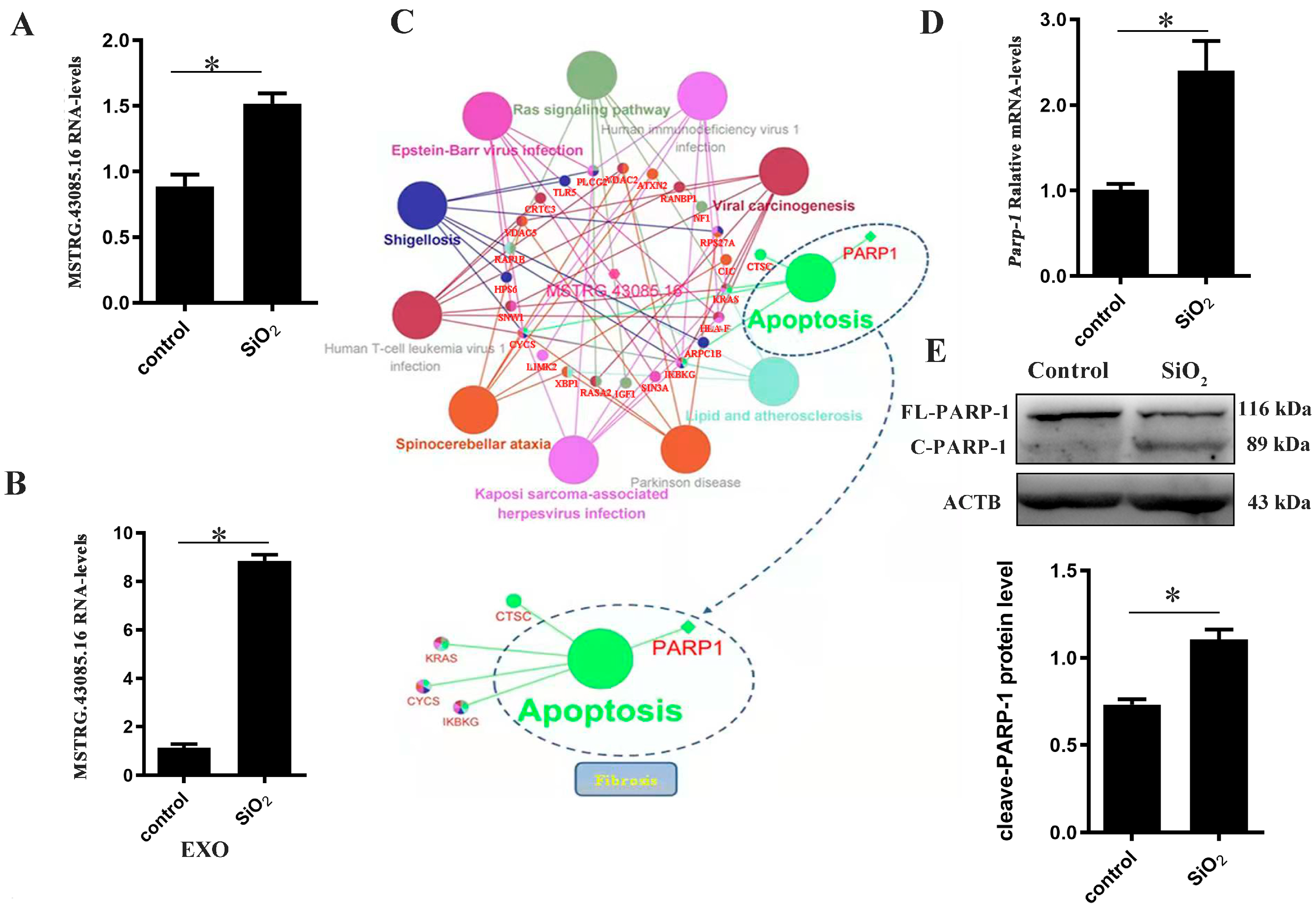 Biomolecules 14 00146 g005 Biomolecules 14 00146 g005