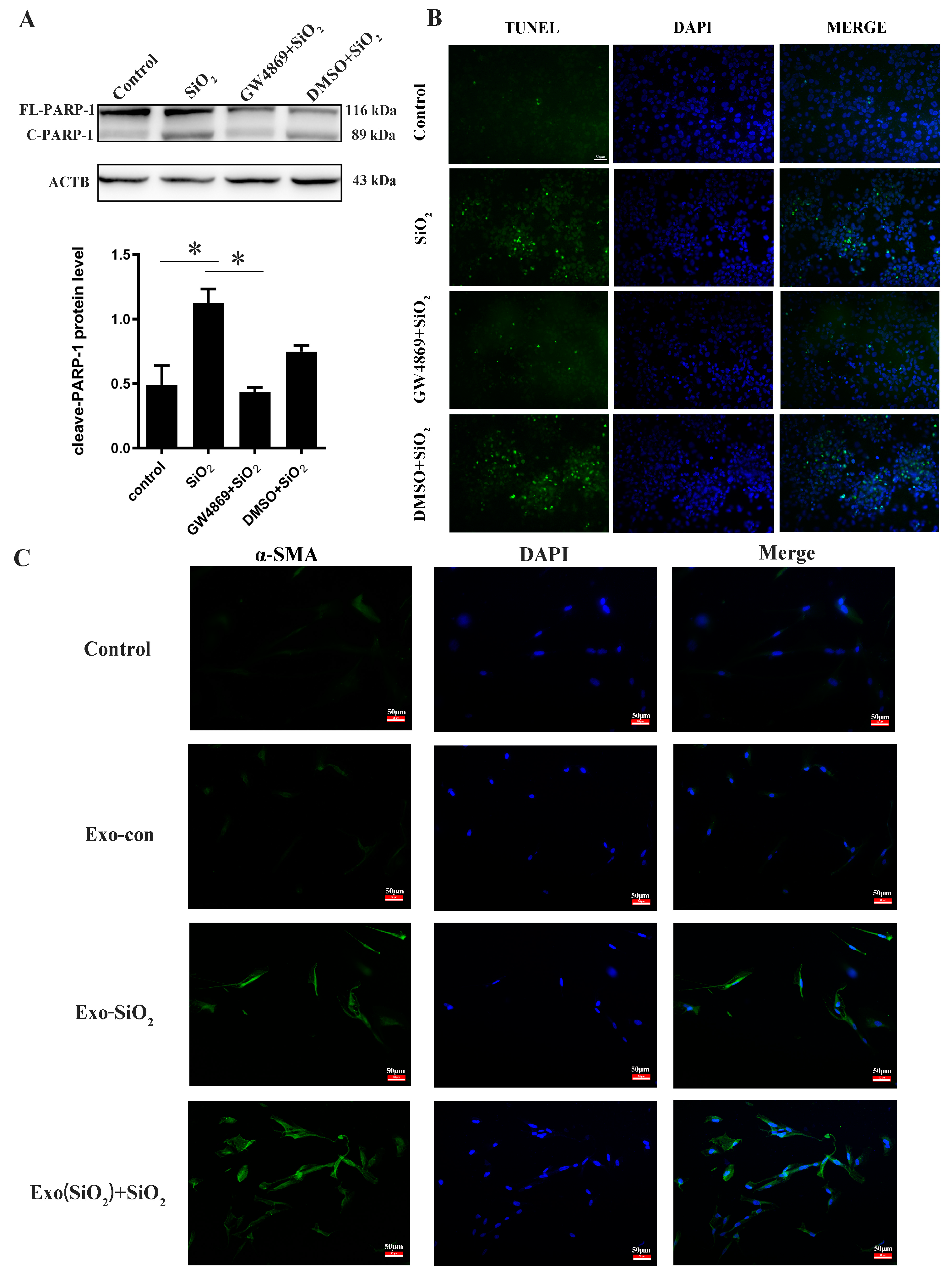 Biomolecules 14 00146 g006 Biomolecules 14 00146 g006