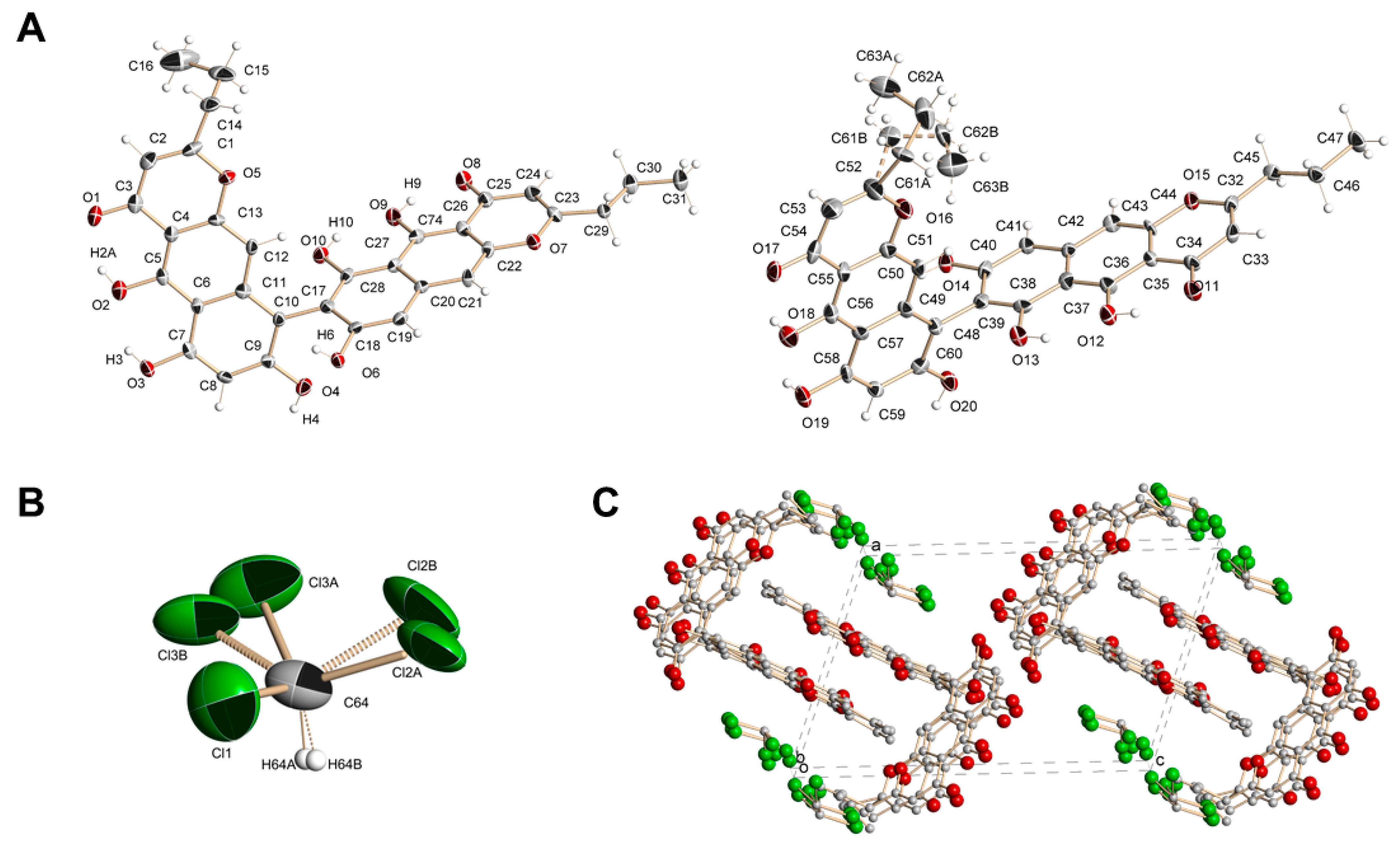 Biomolecules 14 00151 g001