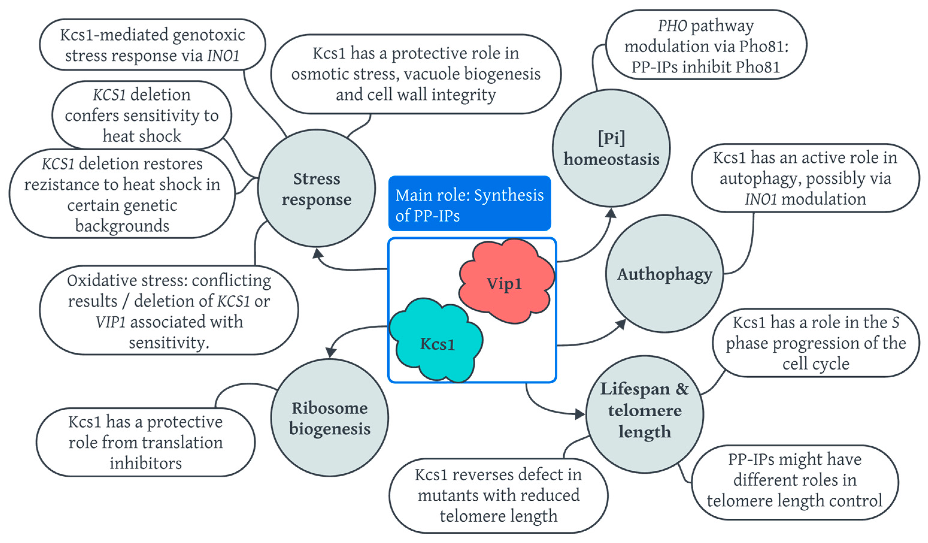 Biomolecules 14 00152 g001 Biomolecules 14 00152 g001
