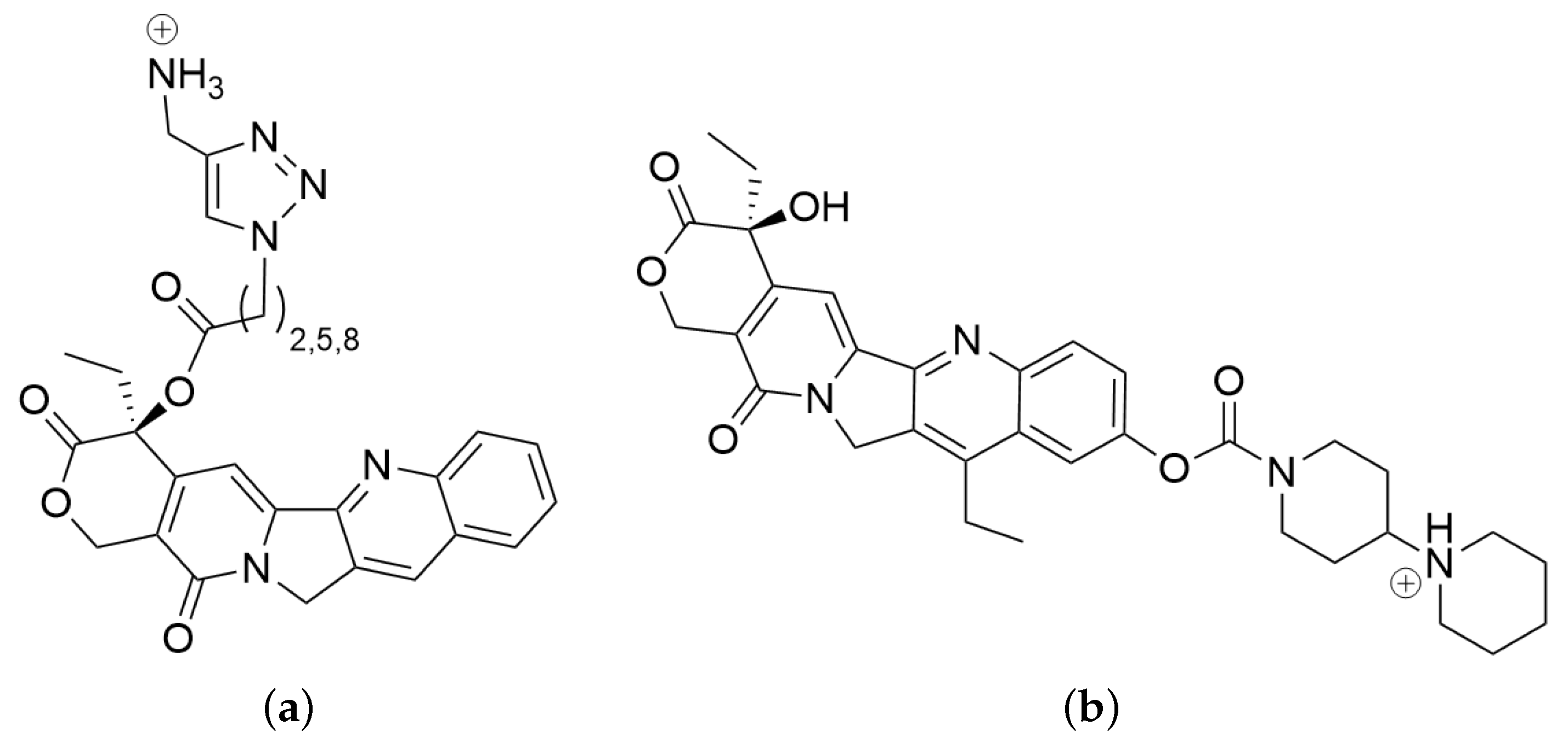 Biomolecules 14 00153 g002