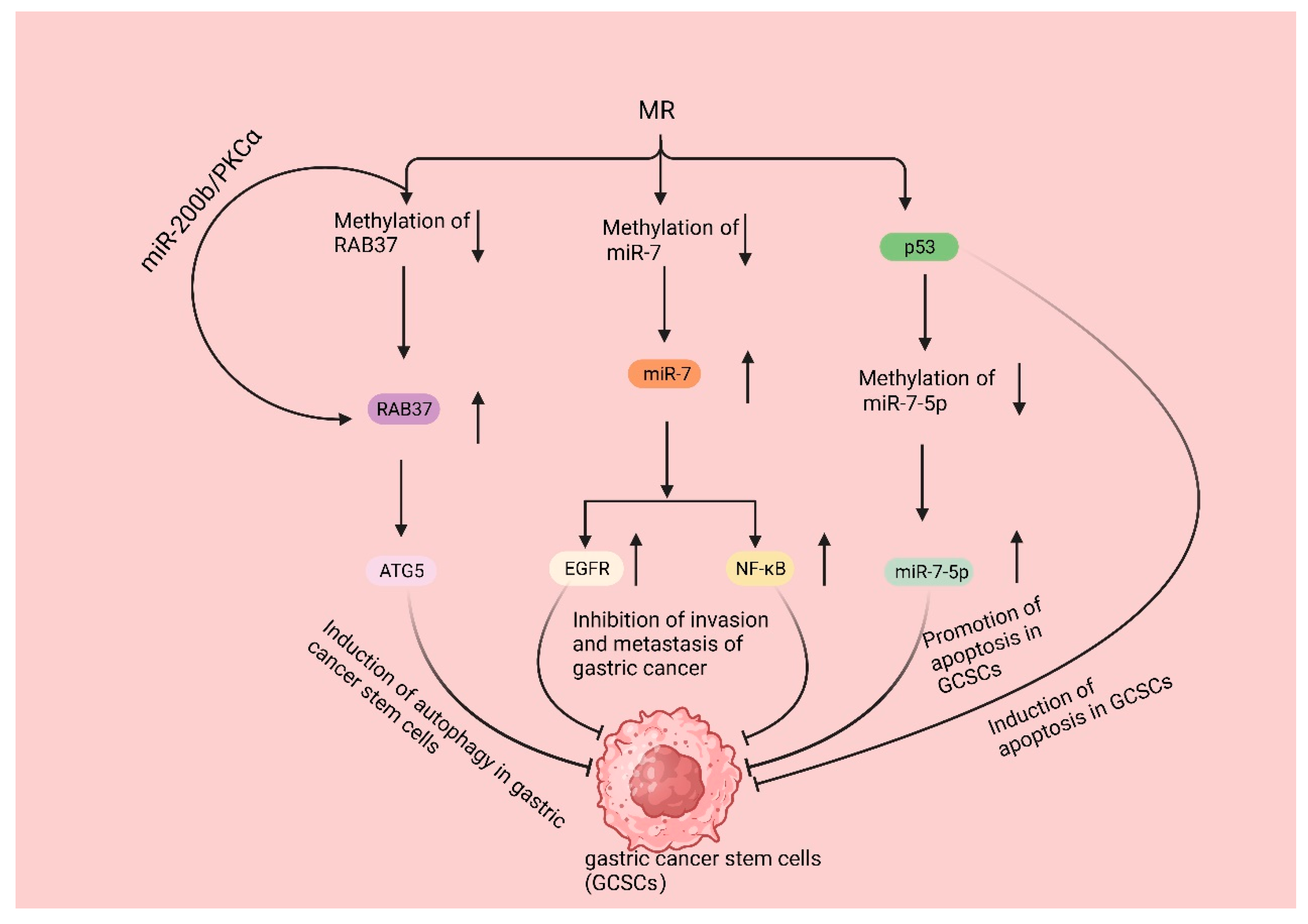 Biomolecules 14 00161 g004
