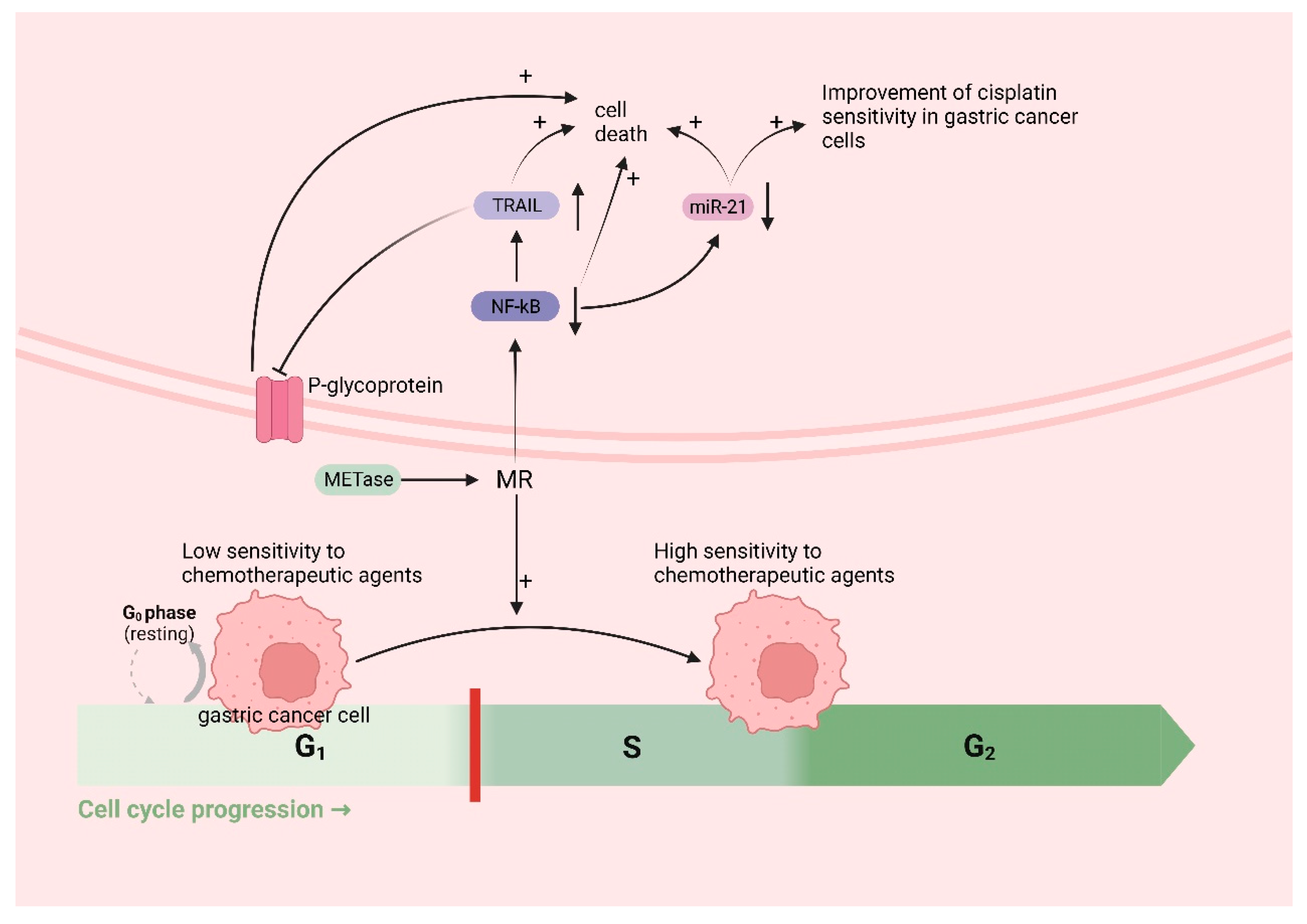 Biomolecules 14 00161 g005