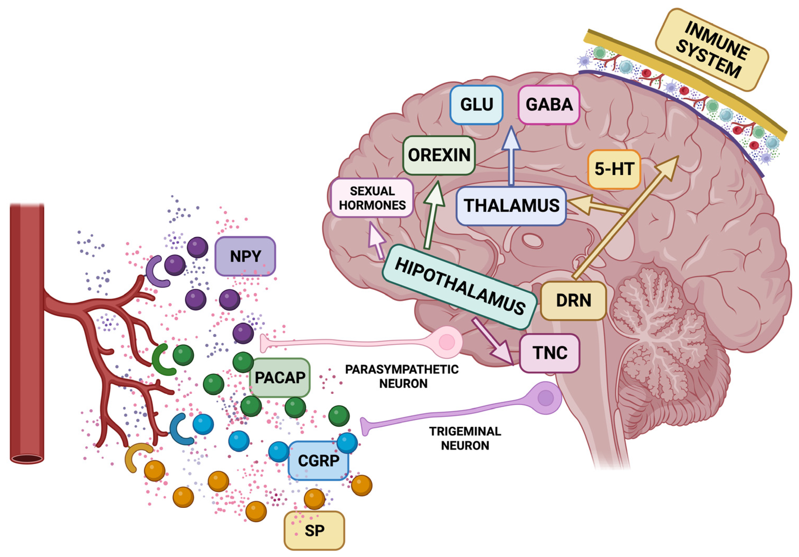 Biomolecules 14 00163 g004