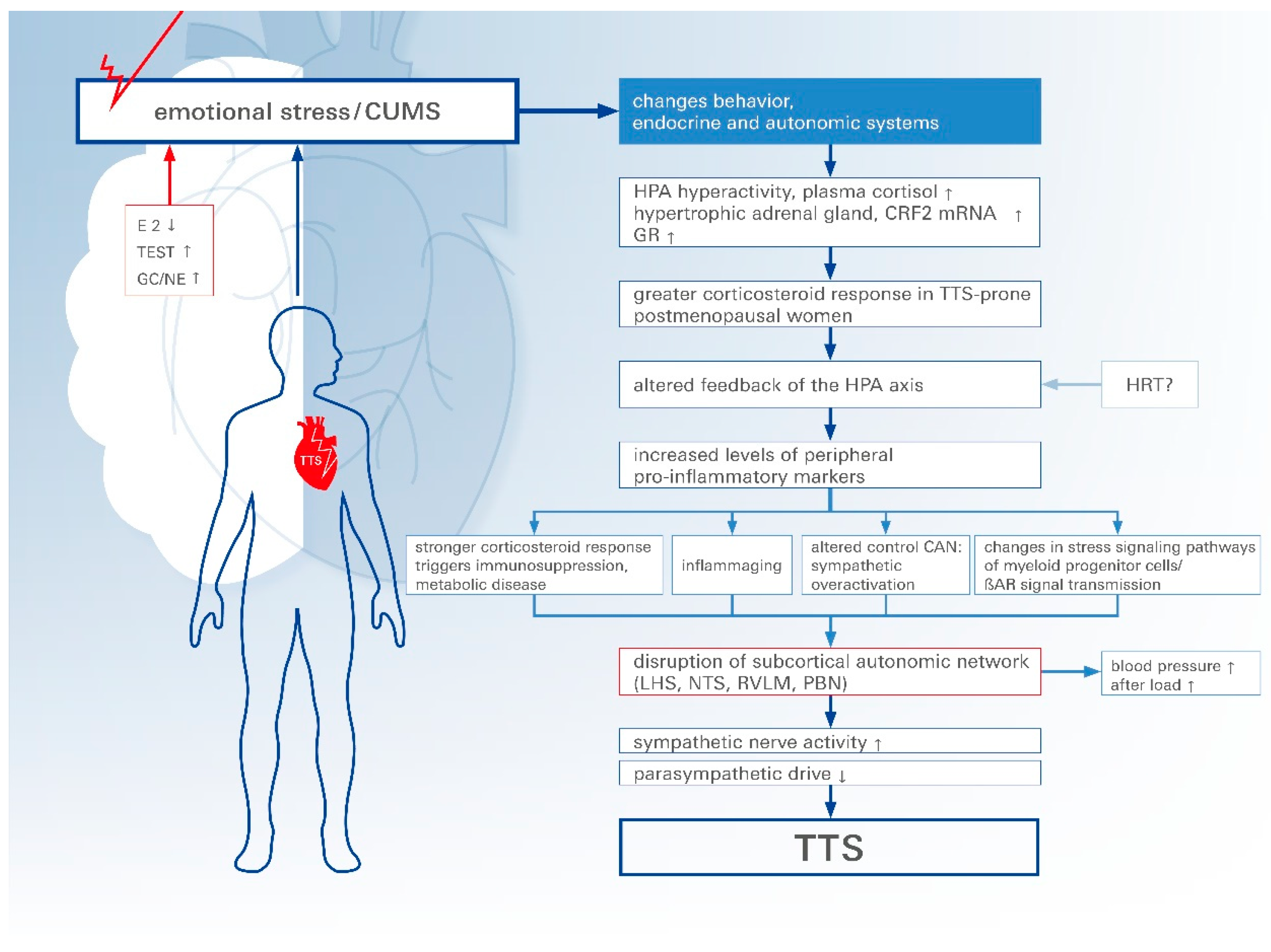 Biomolecules 14 00167 g001 Biomolecules 14 00167 g001