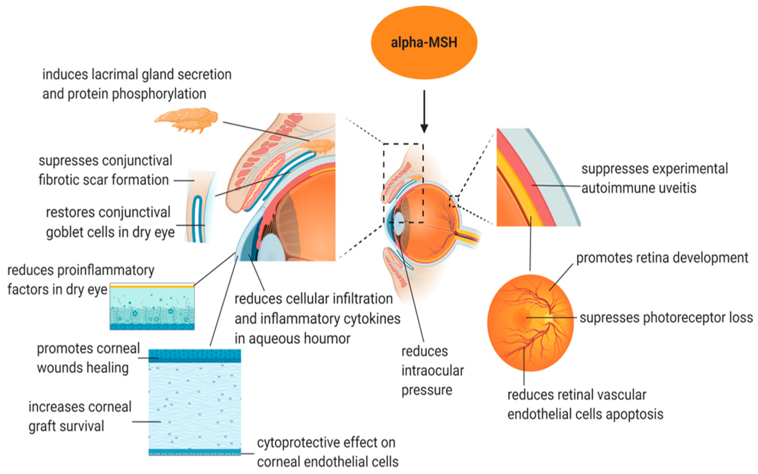 Biomolecules 14 00169 g002