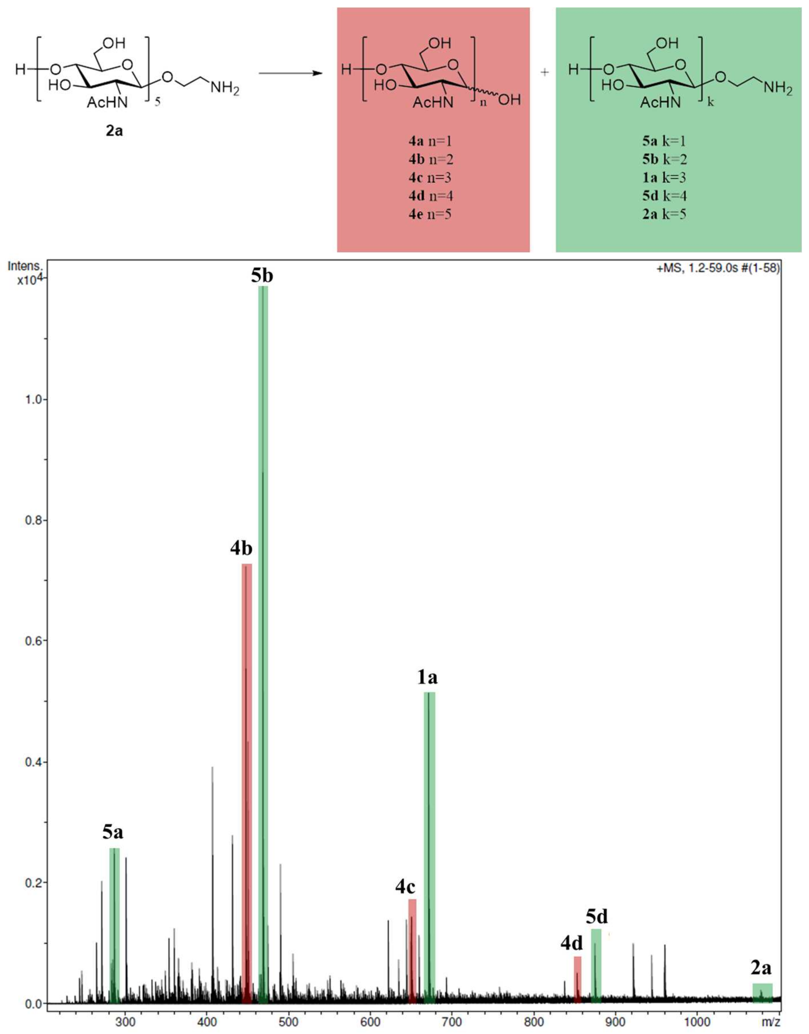 Biomolecules 14 00170 g003