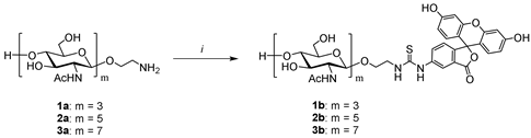 Biomolecules 14 00170 i001