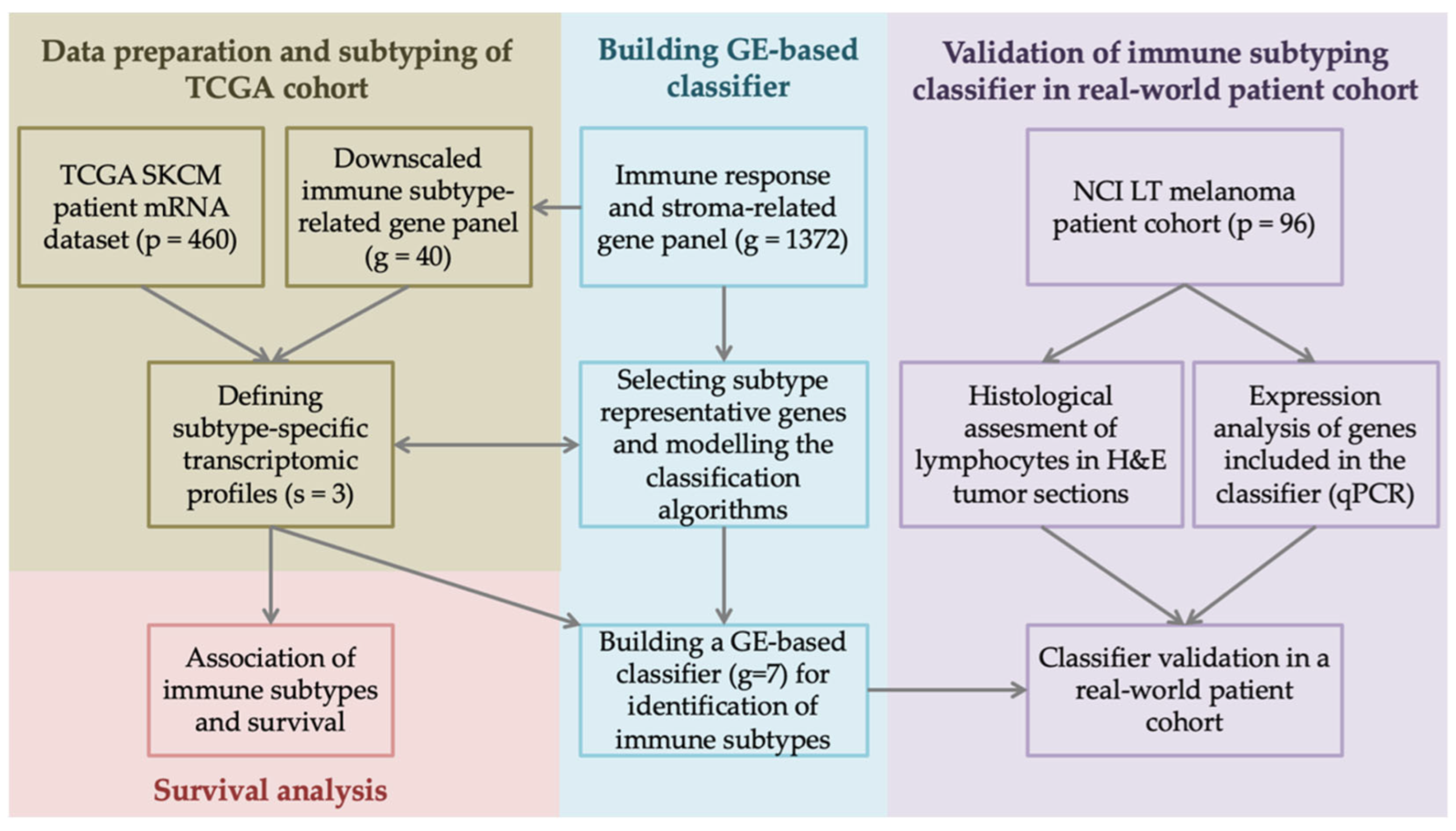 Biomolecules 14 00171 g001