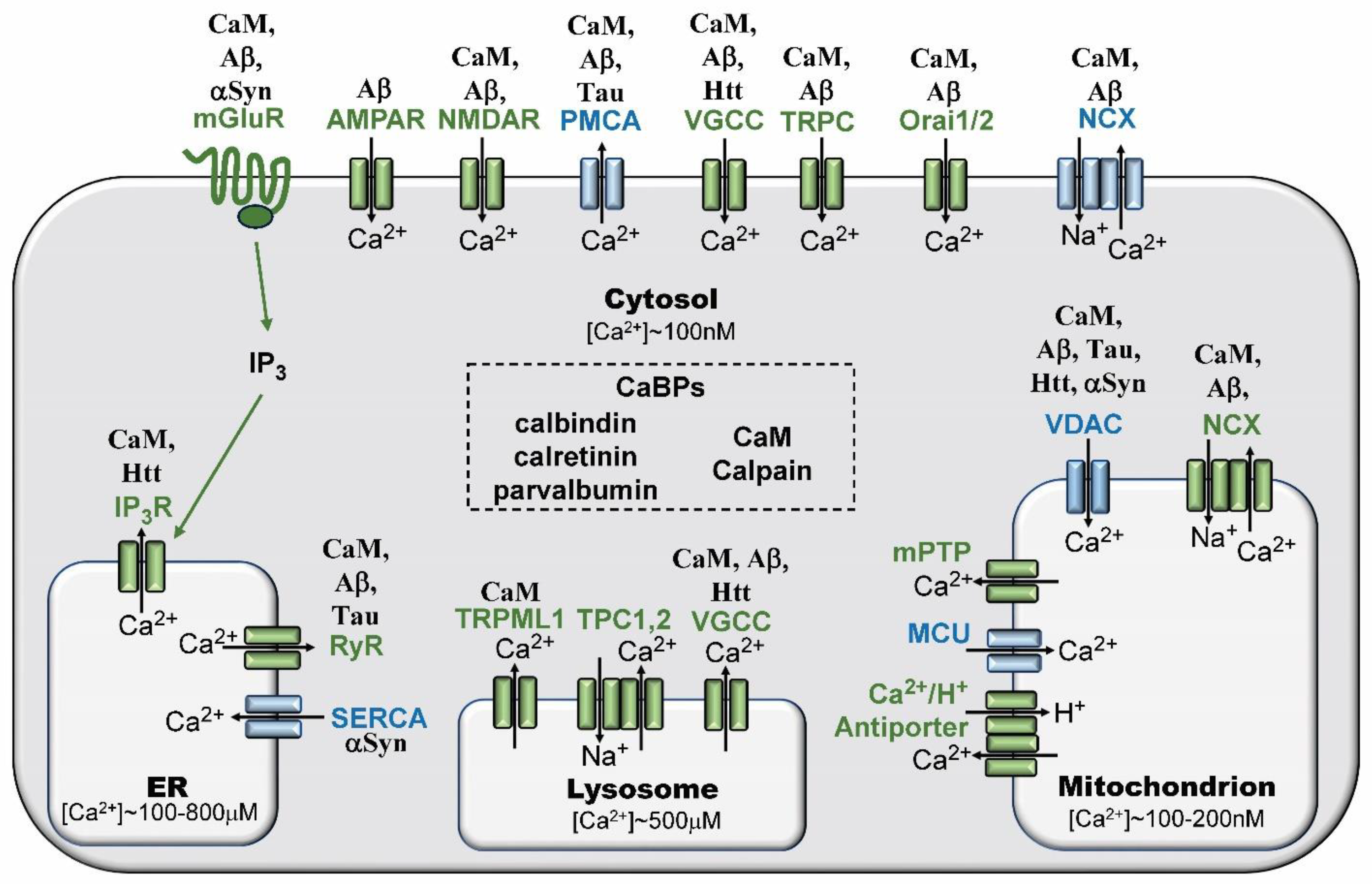 Biomolecules 14 00173 g002
