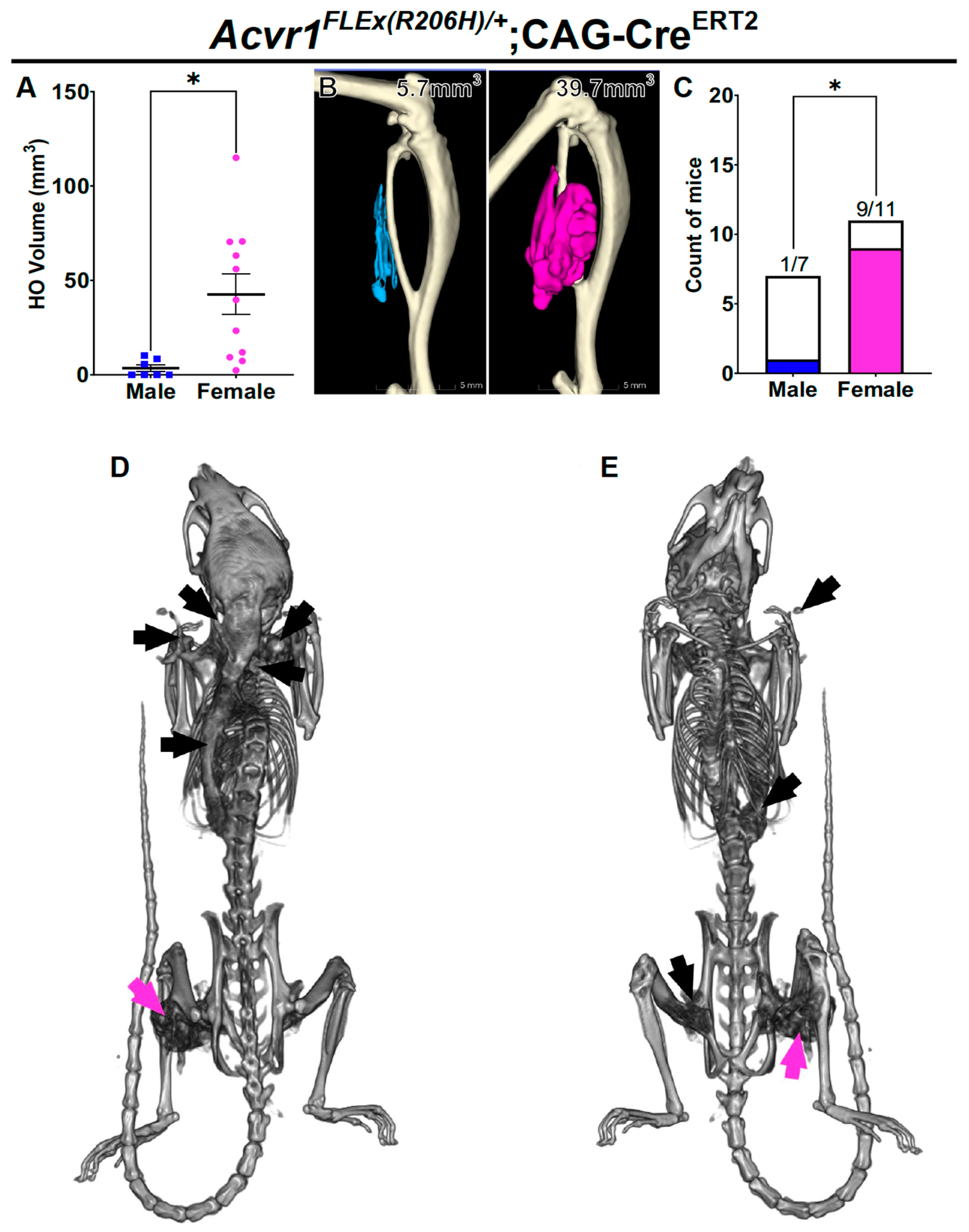 Biomolecules 14 00177 g002