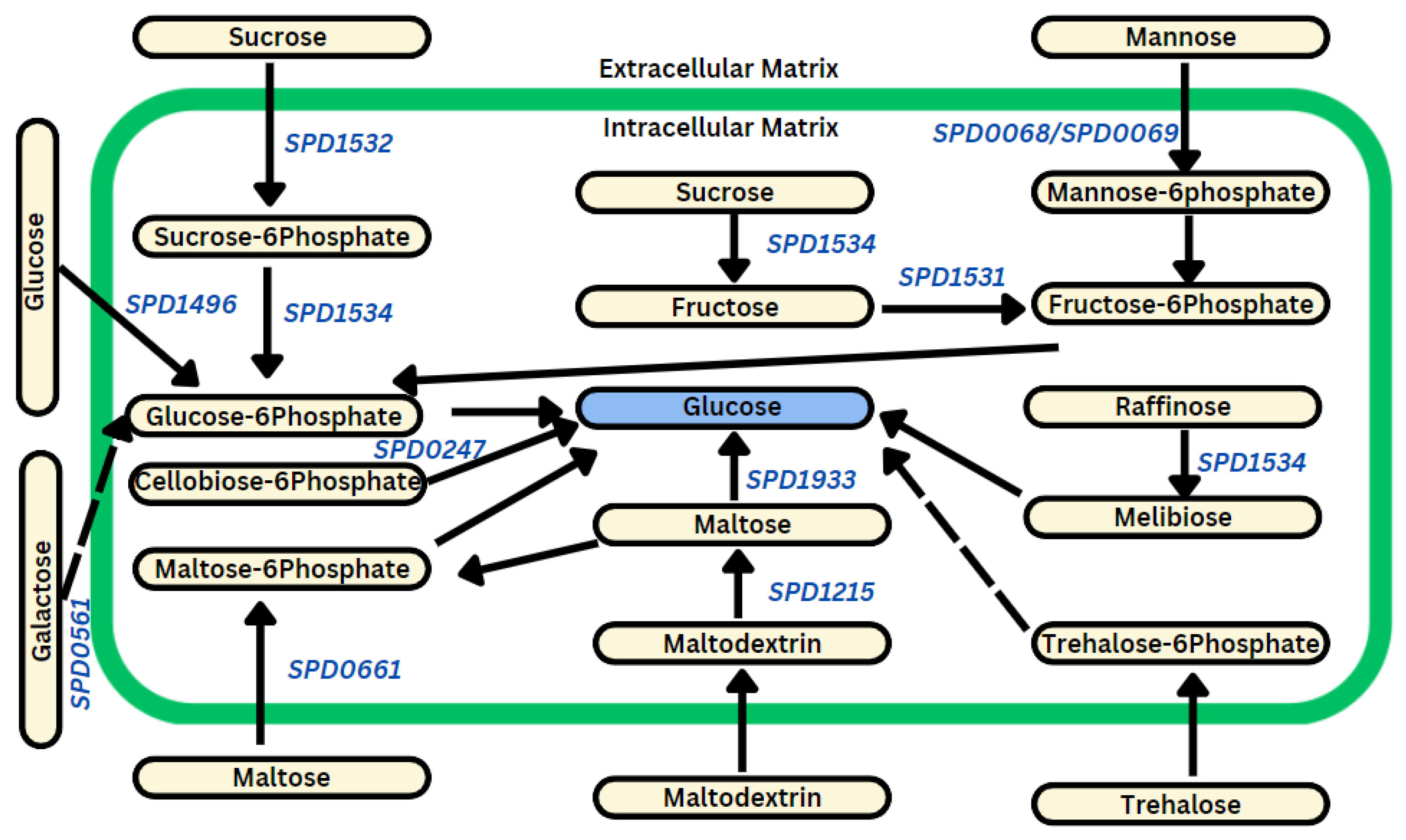 Biomolecules 14 00178 g004