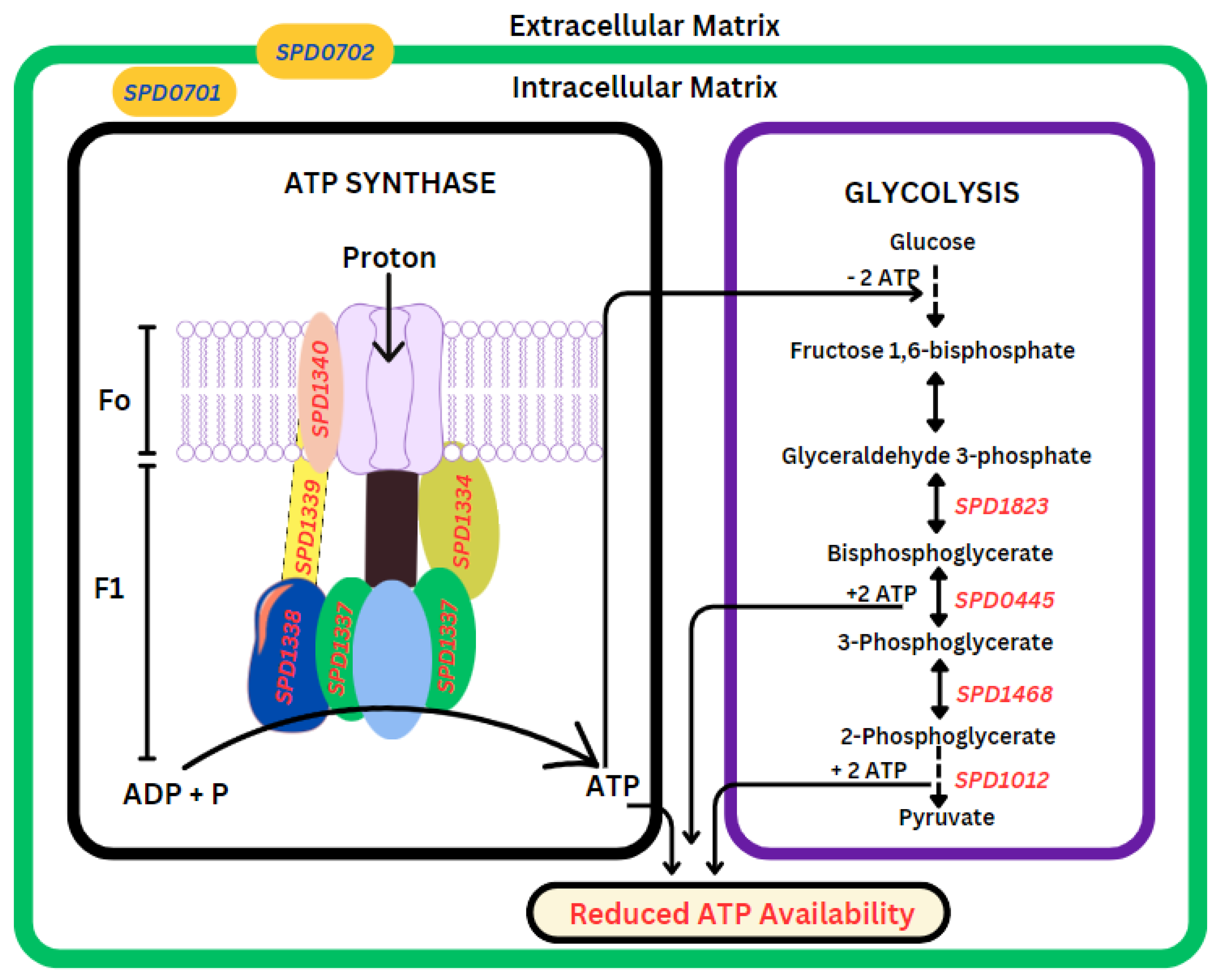 Biomolecules 14 00178 g005
