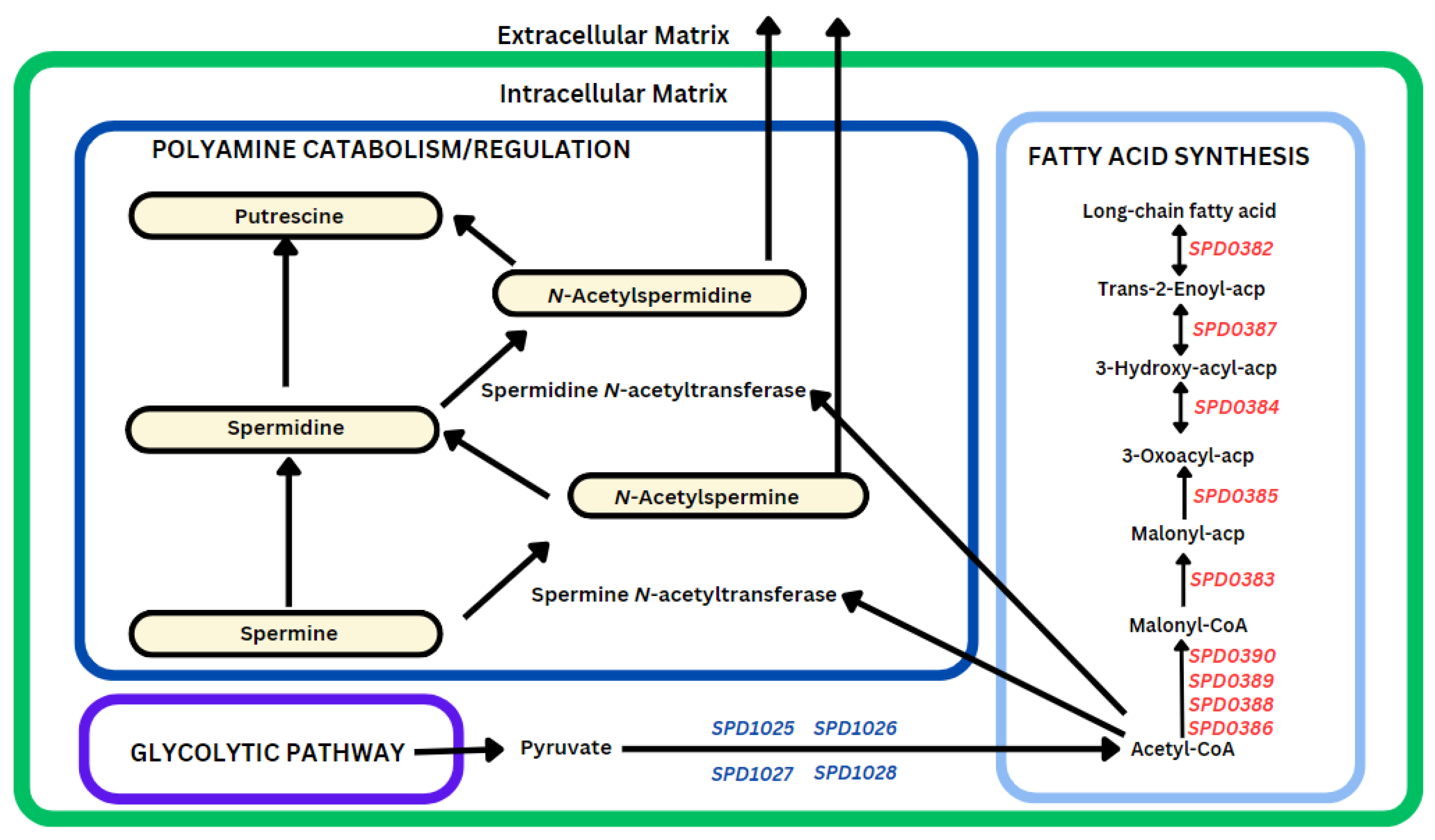 Biomolecules 14 00178 g006