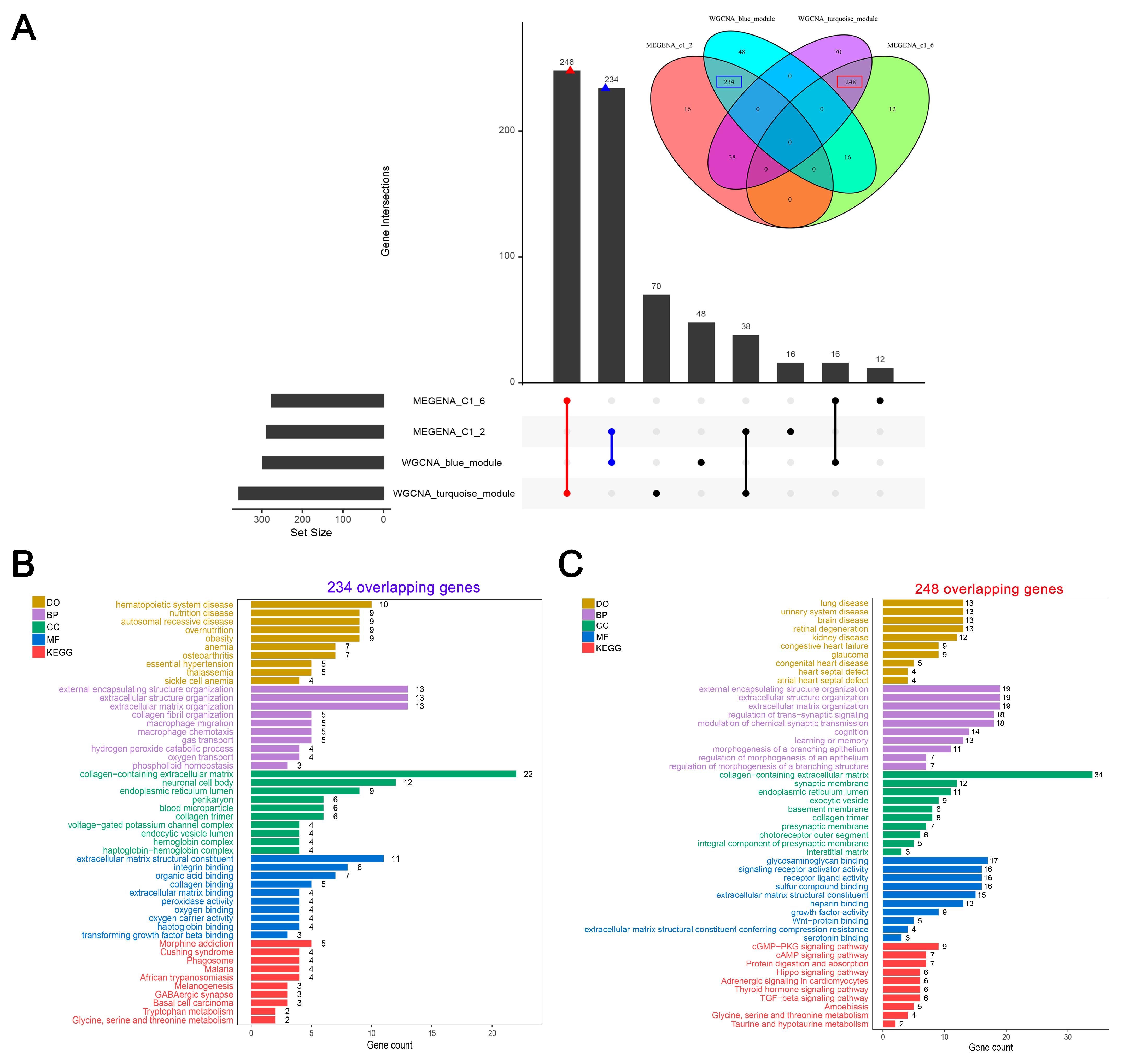 Biomolecules 14 00179 g003