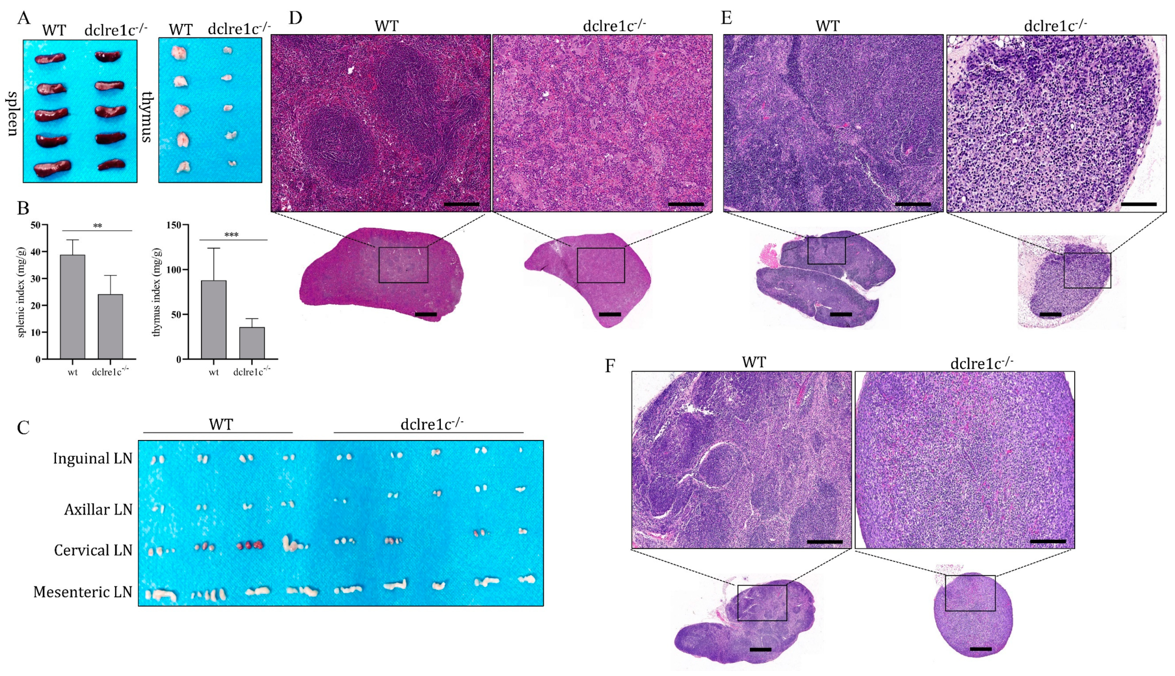Biomolecules 14 00180 g003 Biomolecules 14 00180 g003