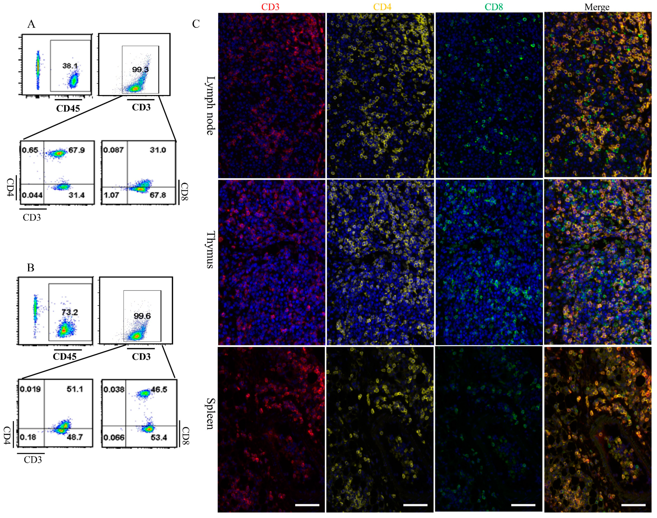 Biomolecules 14 00180 g006 Biomolecules 14 00180 g006