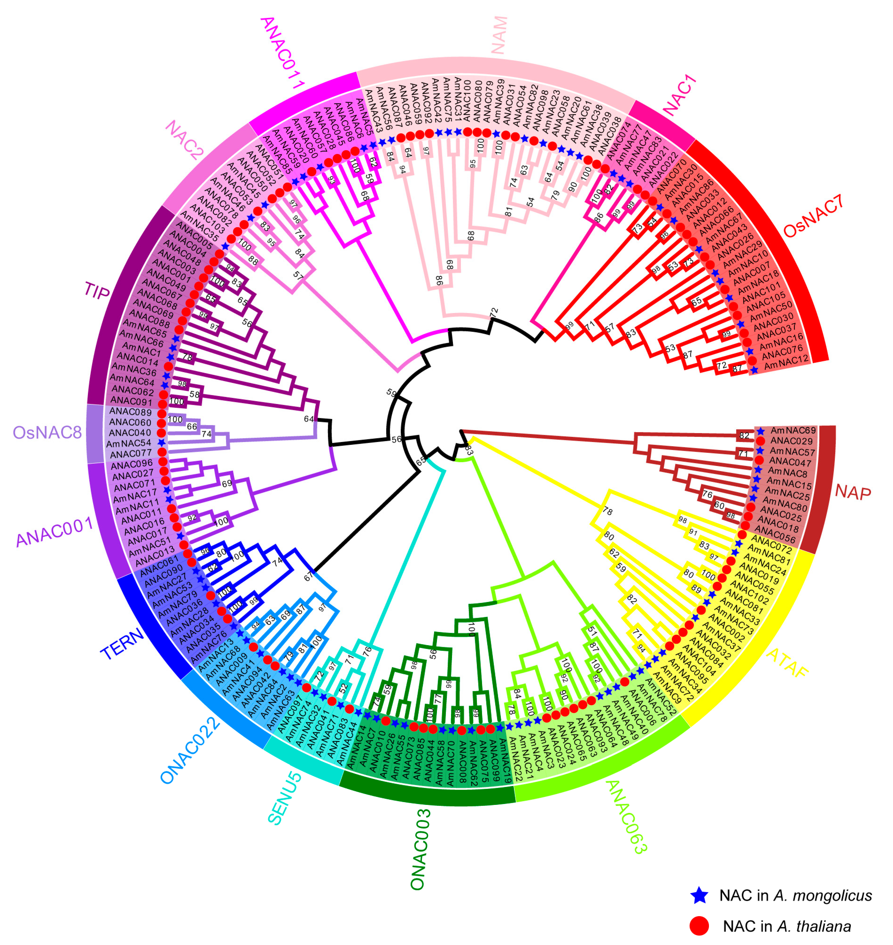 Biomolecules 14 00182 g002