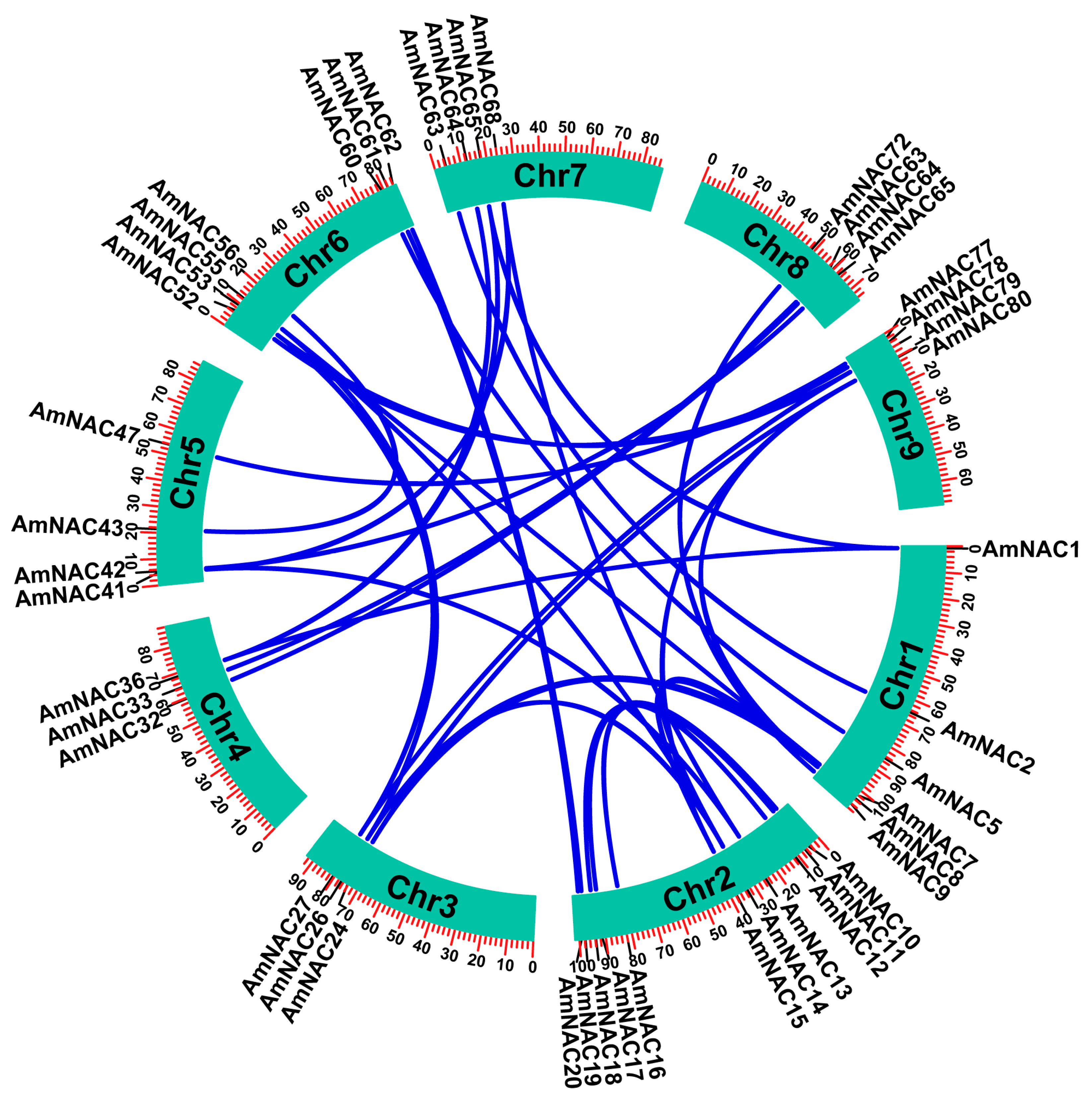Biomolecules 14 00182 g004