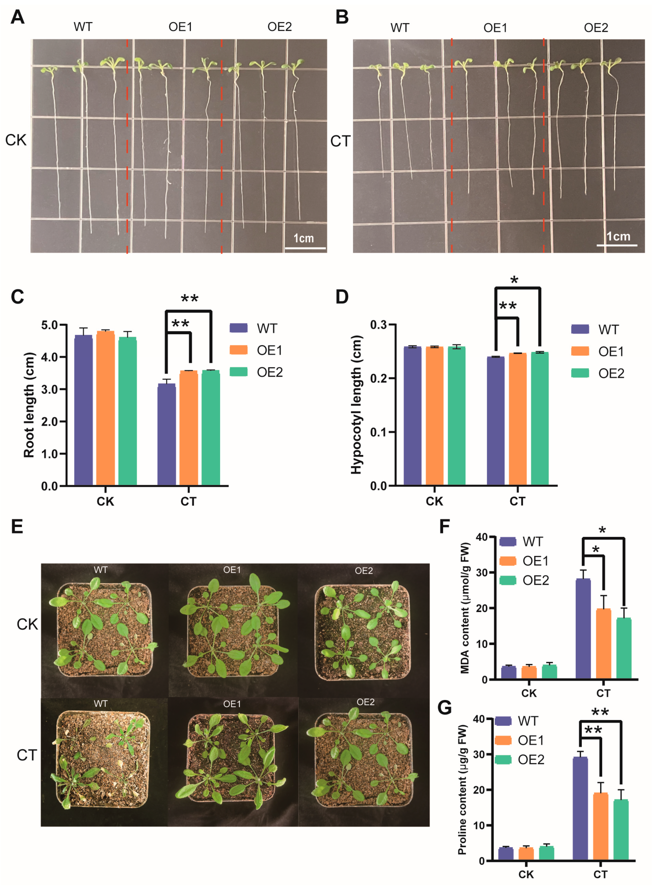 Biomolecules 14 00182 g009
