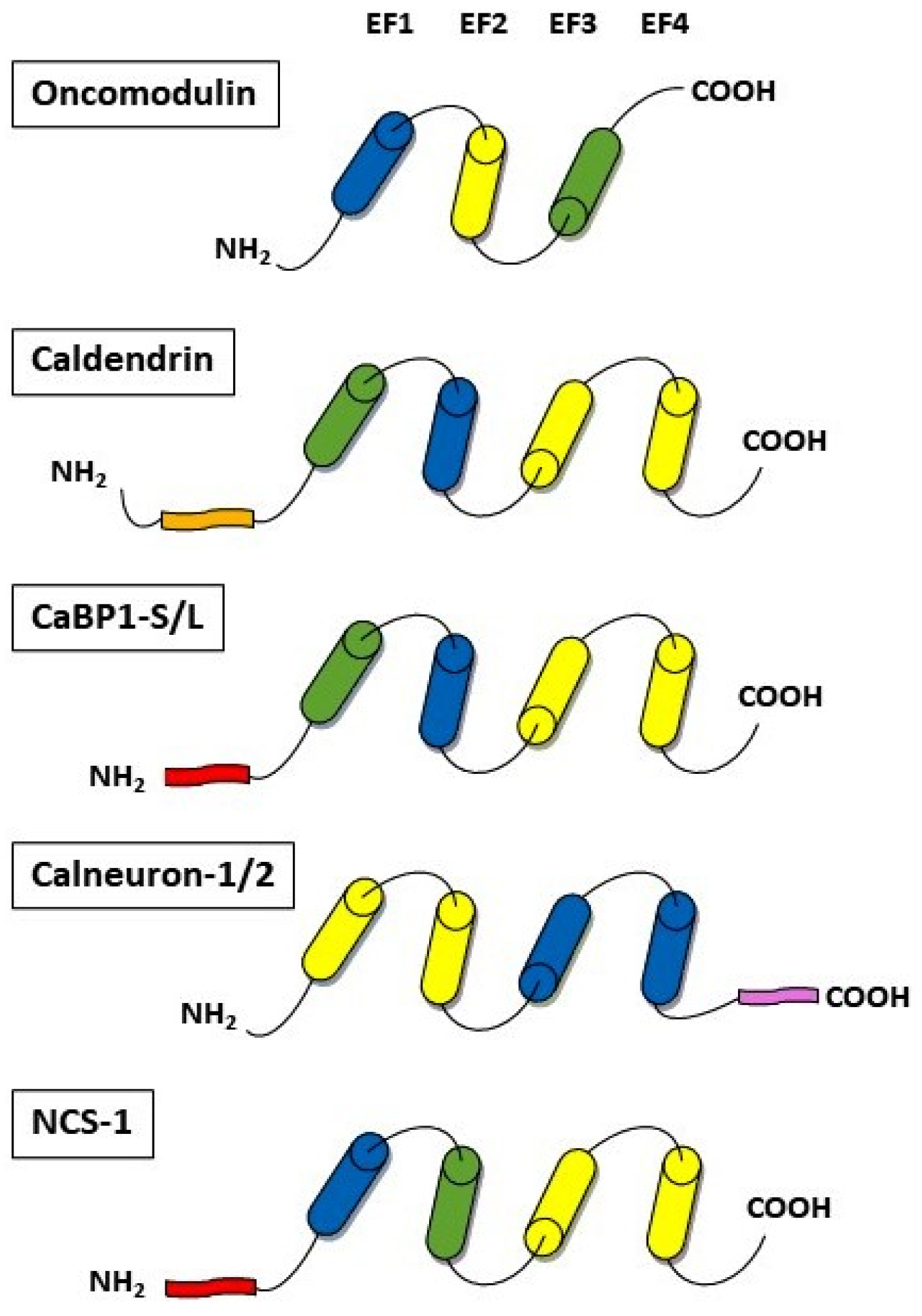 Biomolecules 14 00183 g002 Biomolecules 14 00183 g002