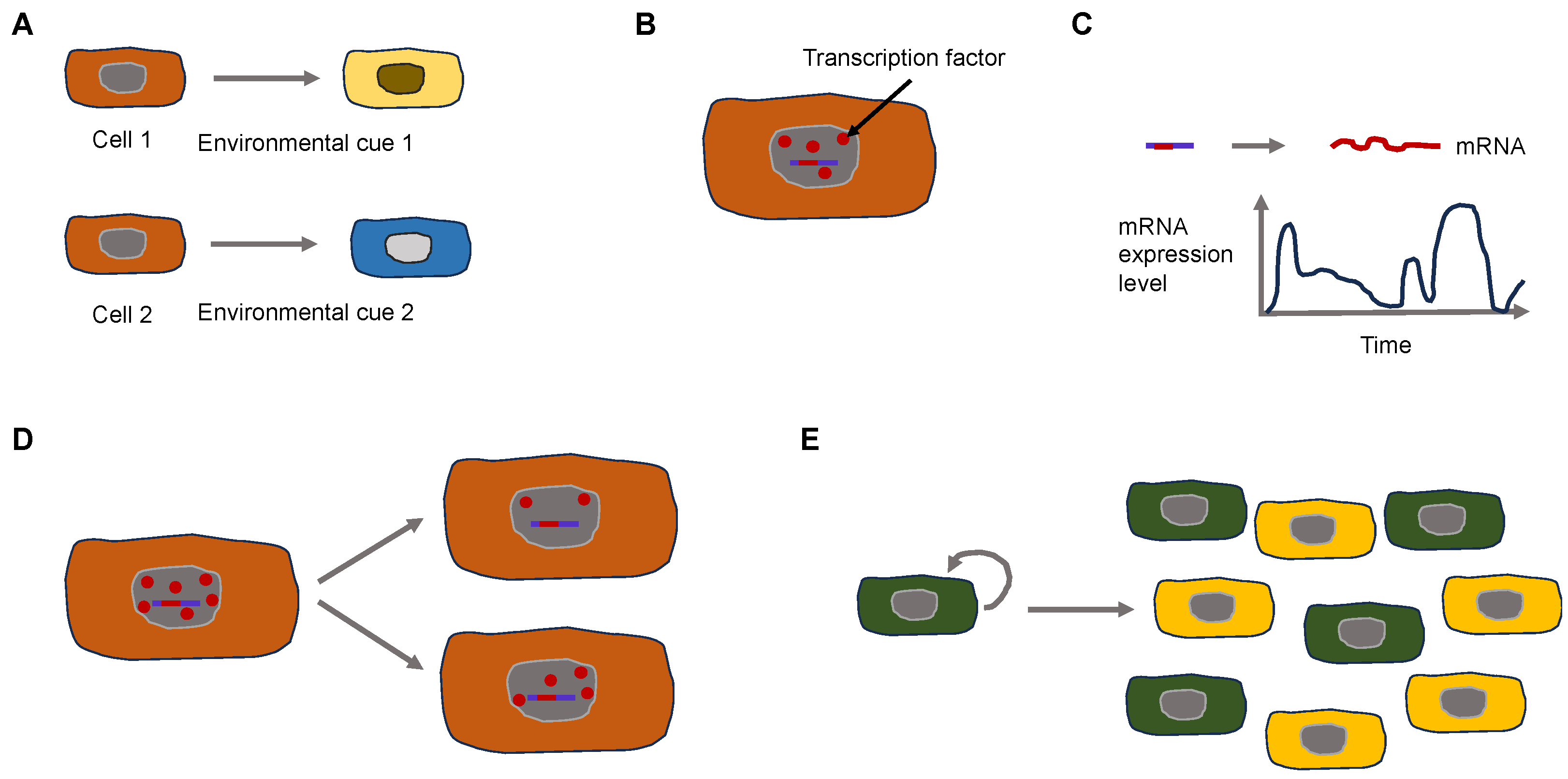 Biomolecules 14 00184 g002 Biomolecules 14 00184 g002