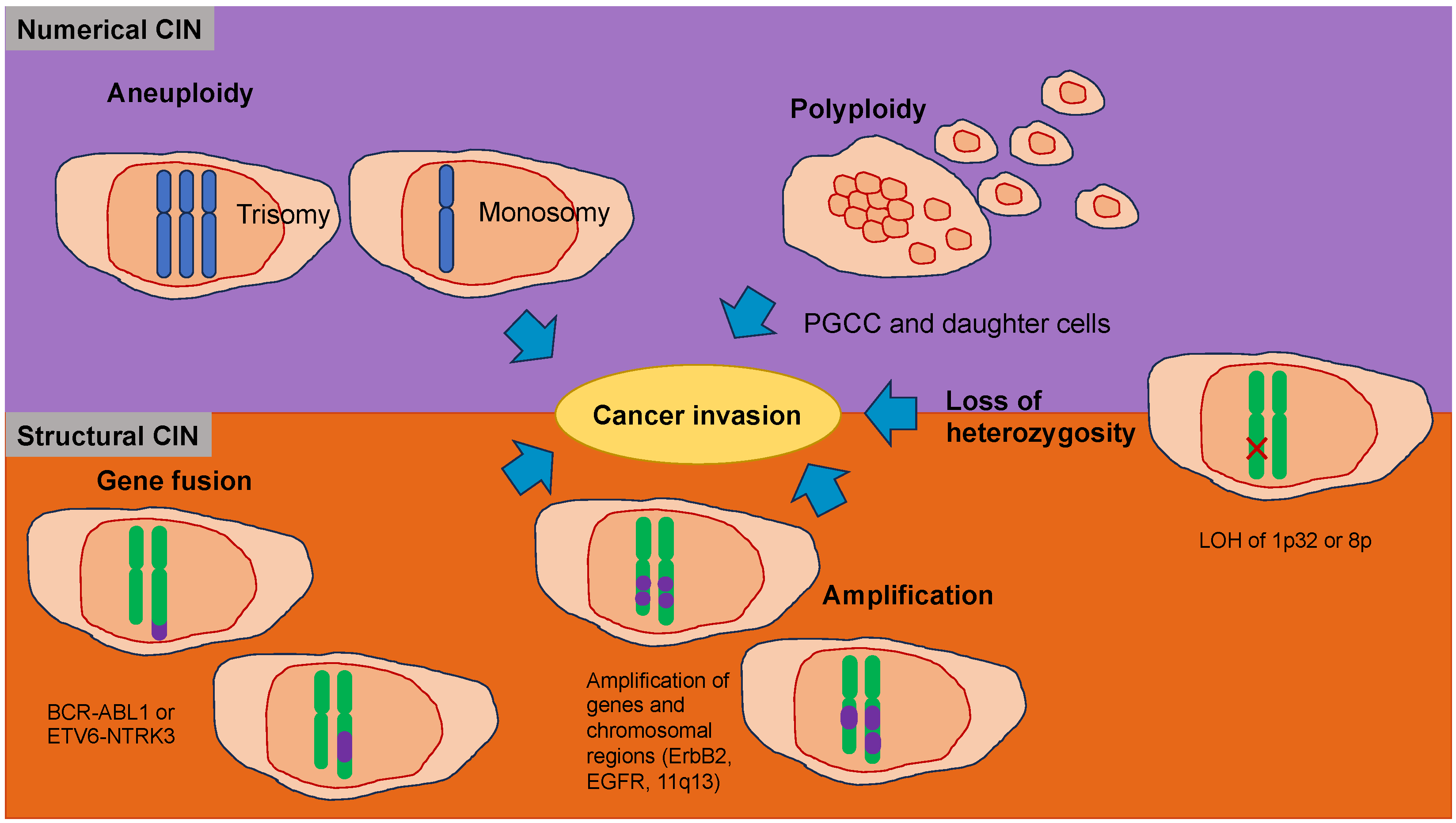 Biomolecules 14 00184 g004 Biomolecules 14 00184 g004