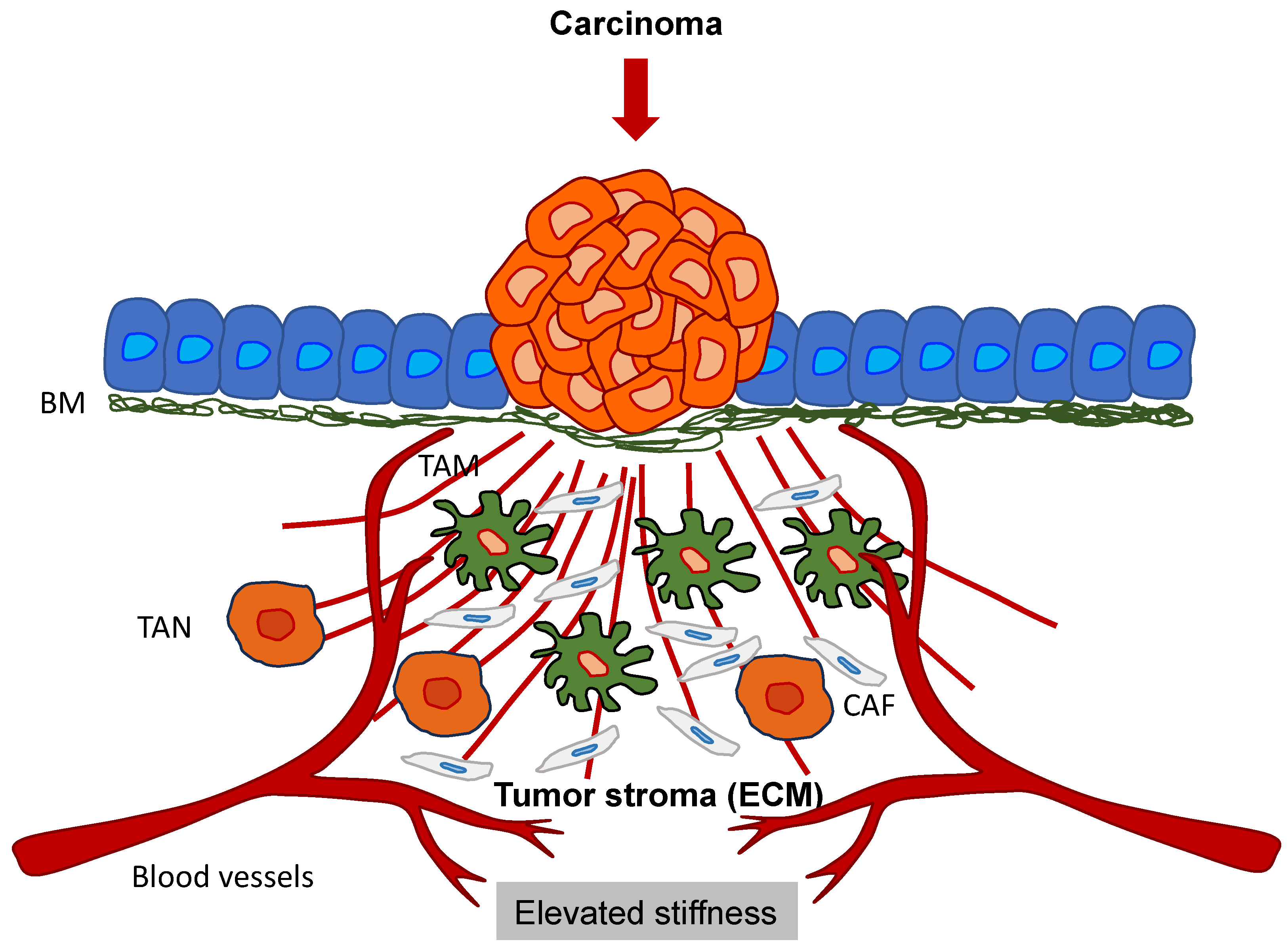 Biomolecules 14 00184 g006 Biomolecules 14 00184 g006