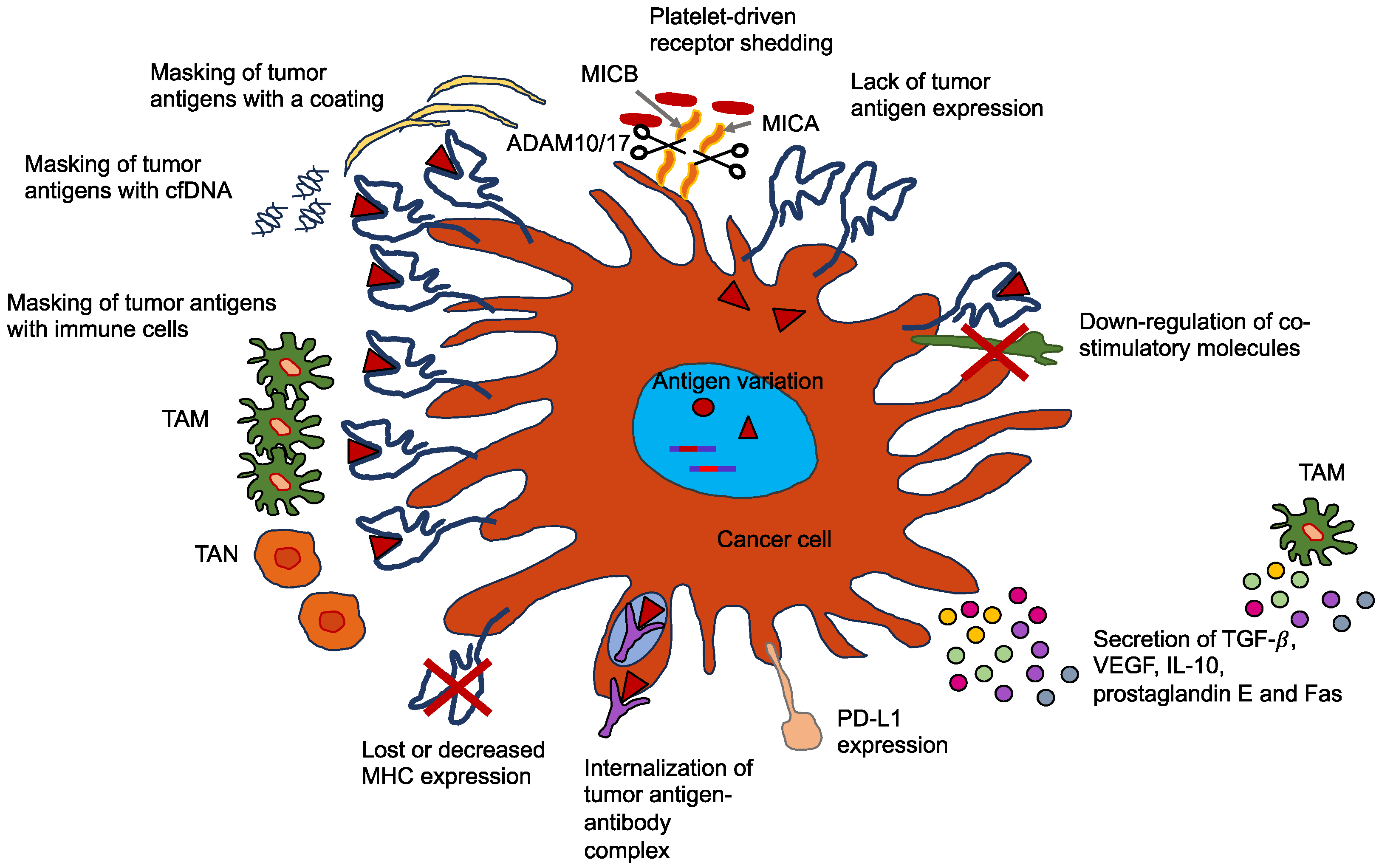 Biomolecules 14 00184 g008 Biomolecules 14 00184 g008